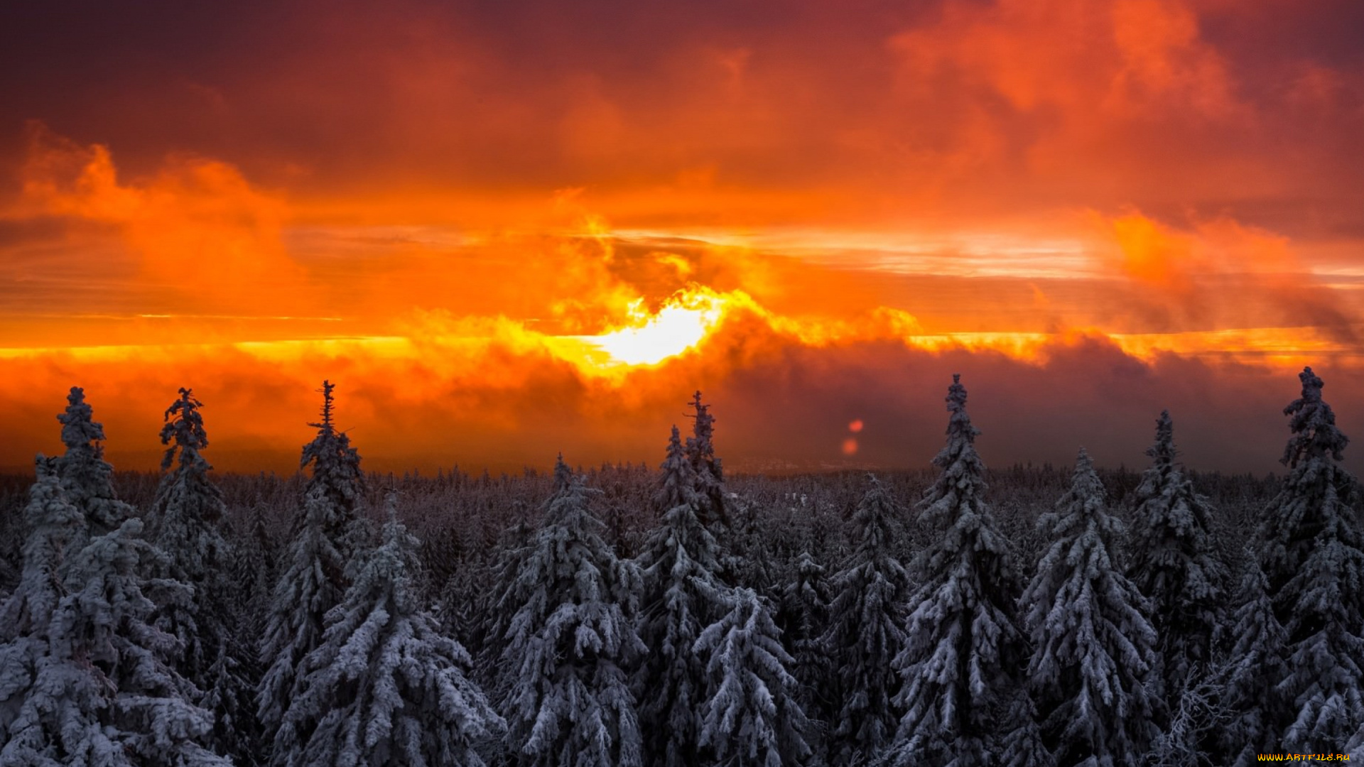 природа, восходы, закаты, закат, вечер, зима, небо, тучи, солнце, огненный, лучи, деревья, лес, пейзаж, красота