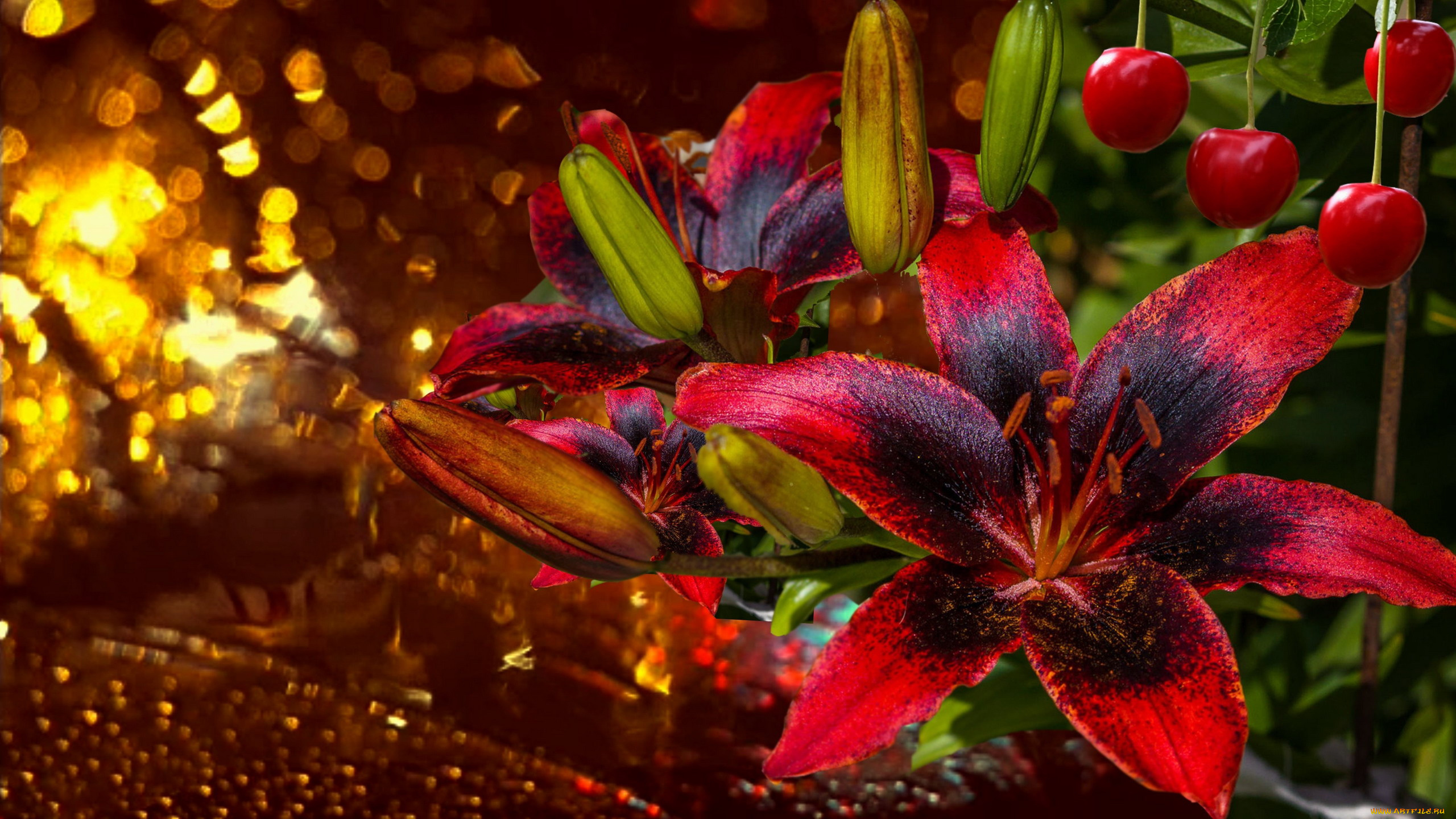 цветы, лилии, , лилейники, макро