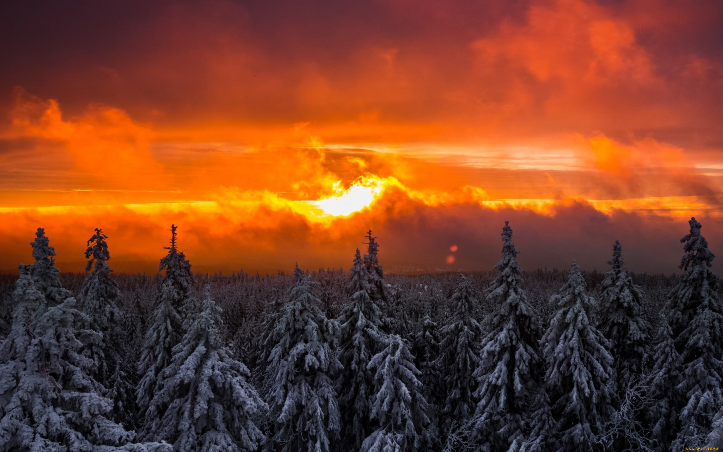 природа, восходы, закаты, закат, вечер, зима, небо, тучи, солнце, огненный, лучи, деревья, лес, пейзаж, красота