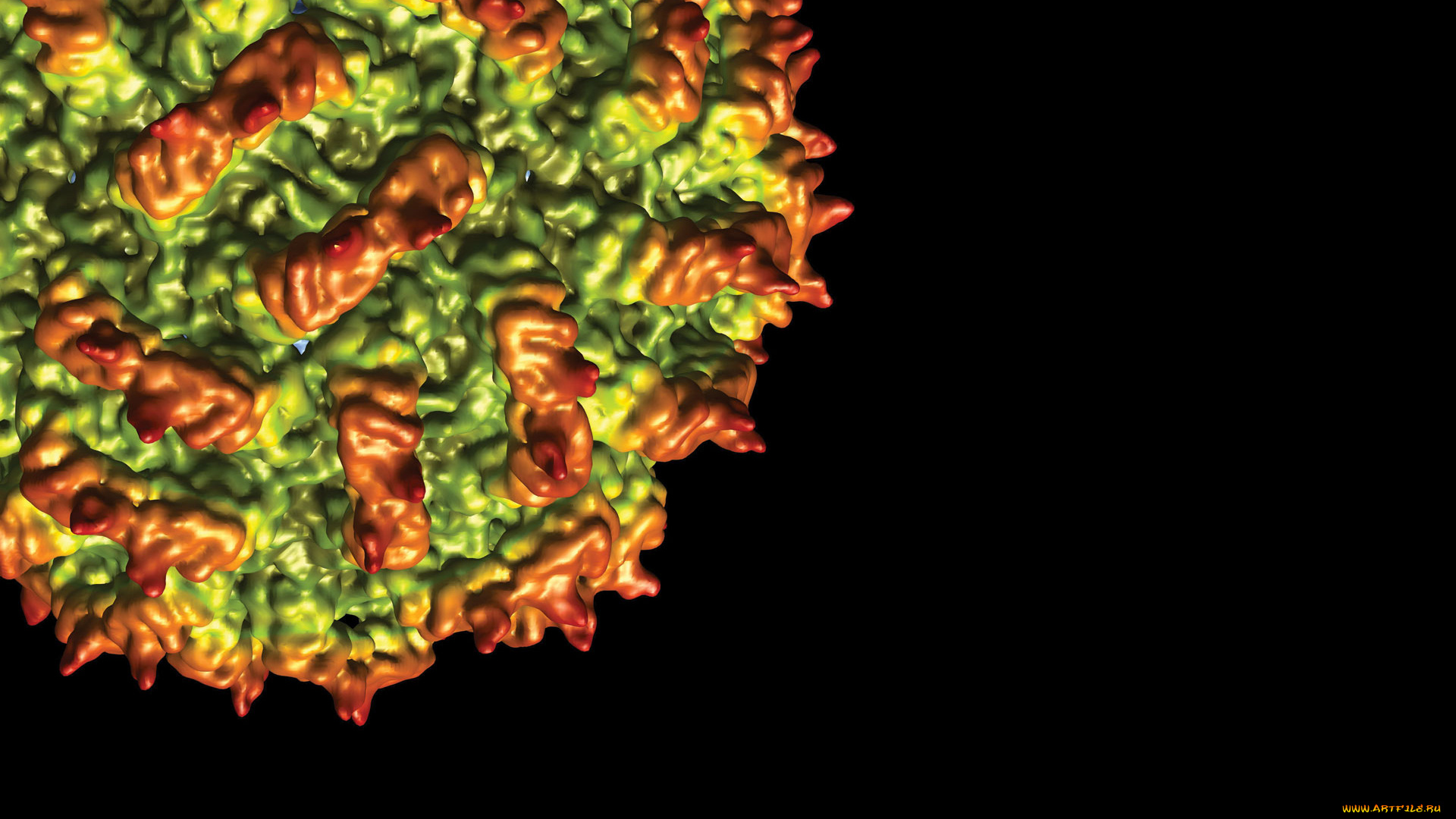 3д, графика, другое, , other, вирус