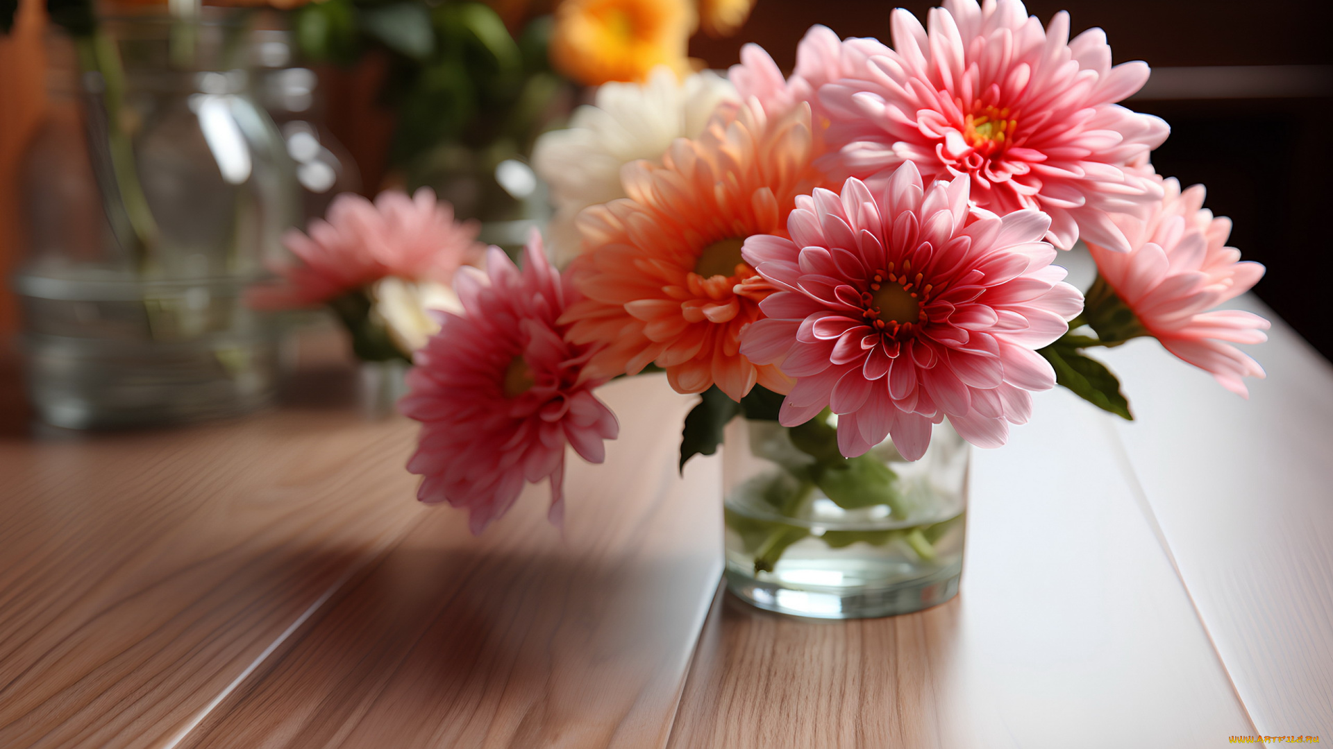 цветы, хризантемы, разноцветные, букет