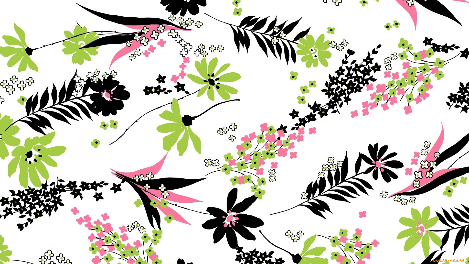 векторная, графика, цветы, , flowers, цветы, орнамент