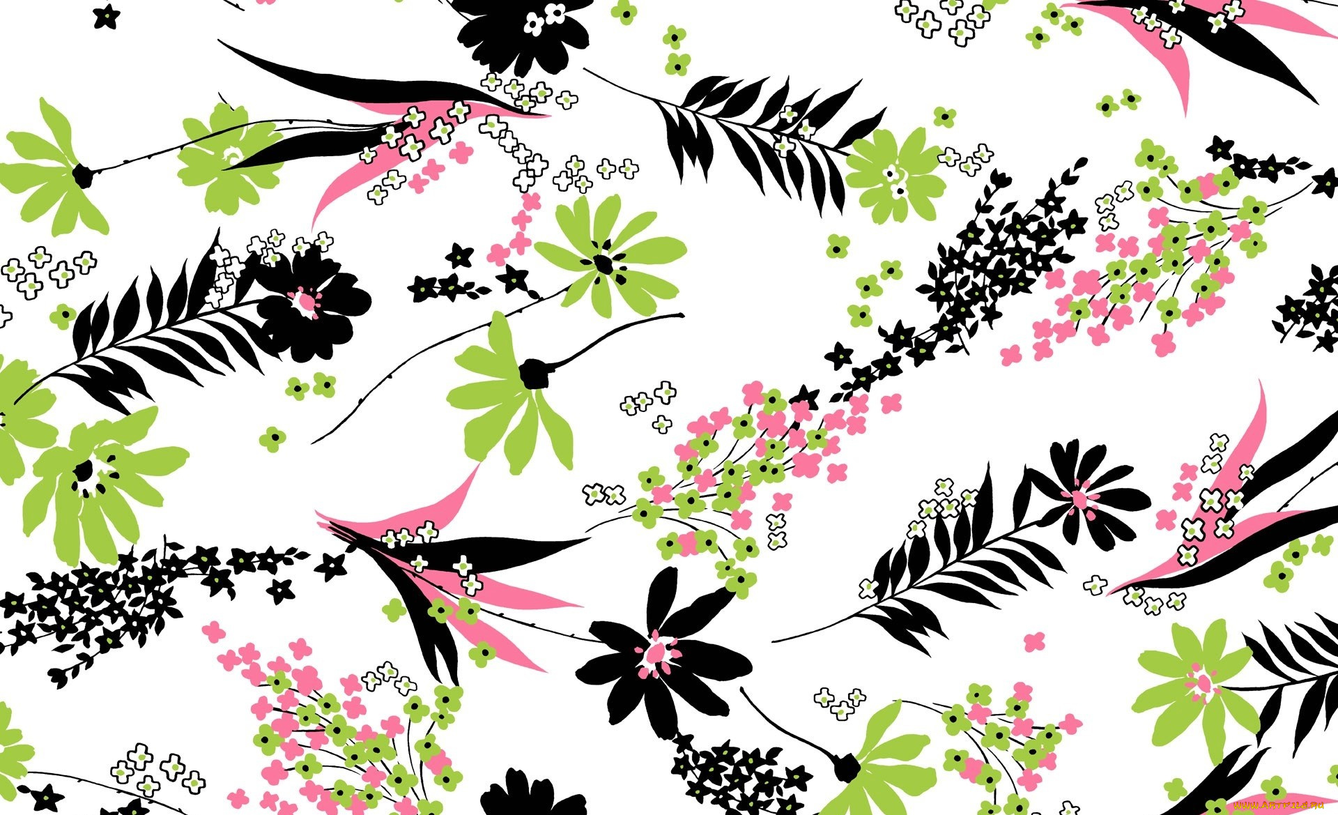 векторная, графика, цветы, , flowers, цветы, орнамент