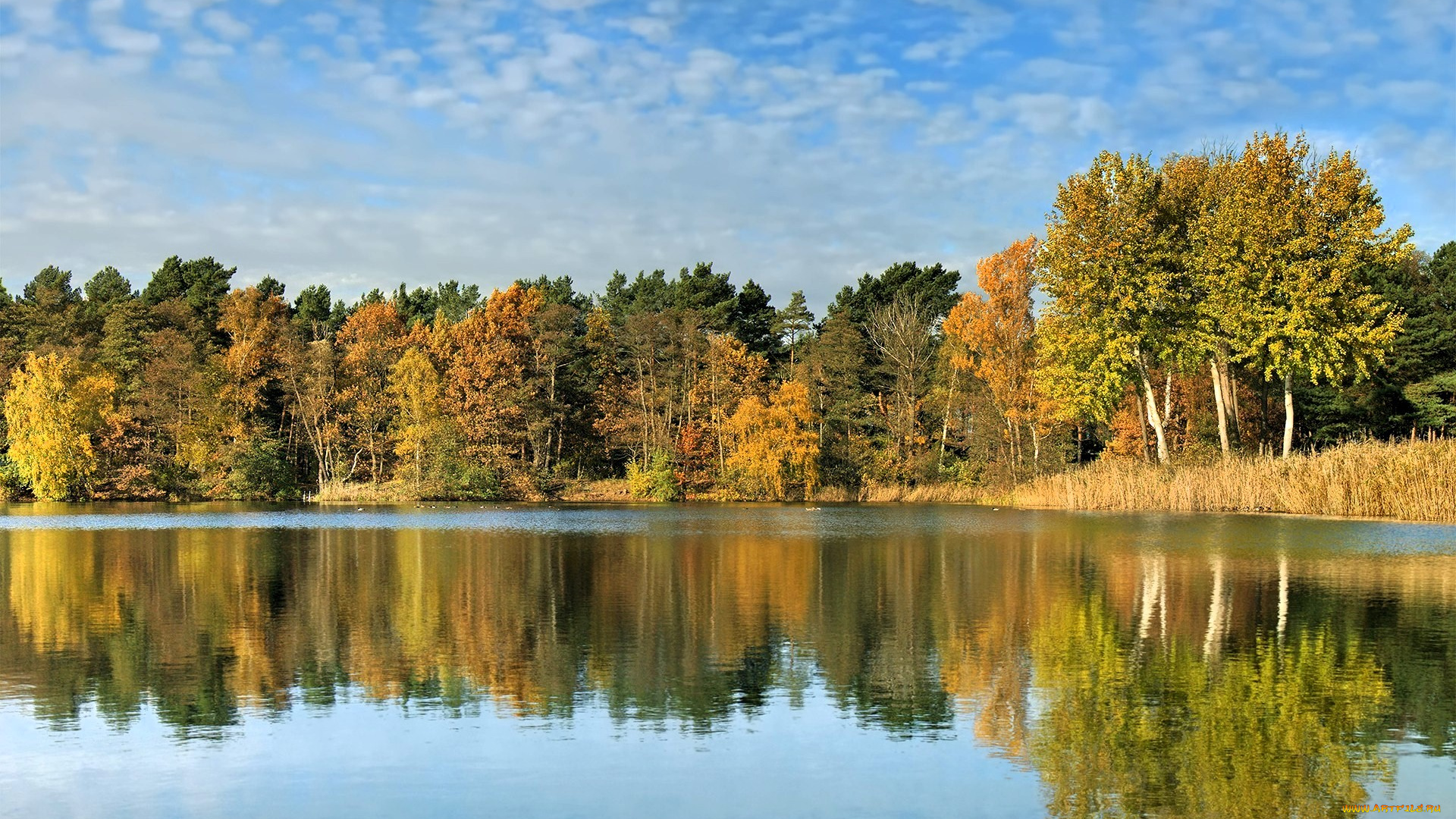 природа, реки, озера, небо, облака, лес, деревья, осень, озеро