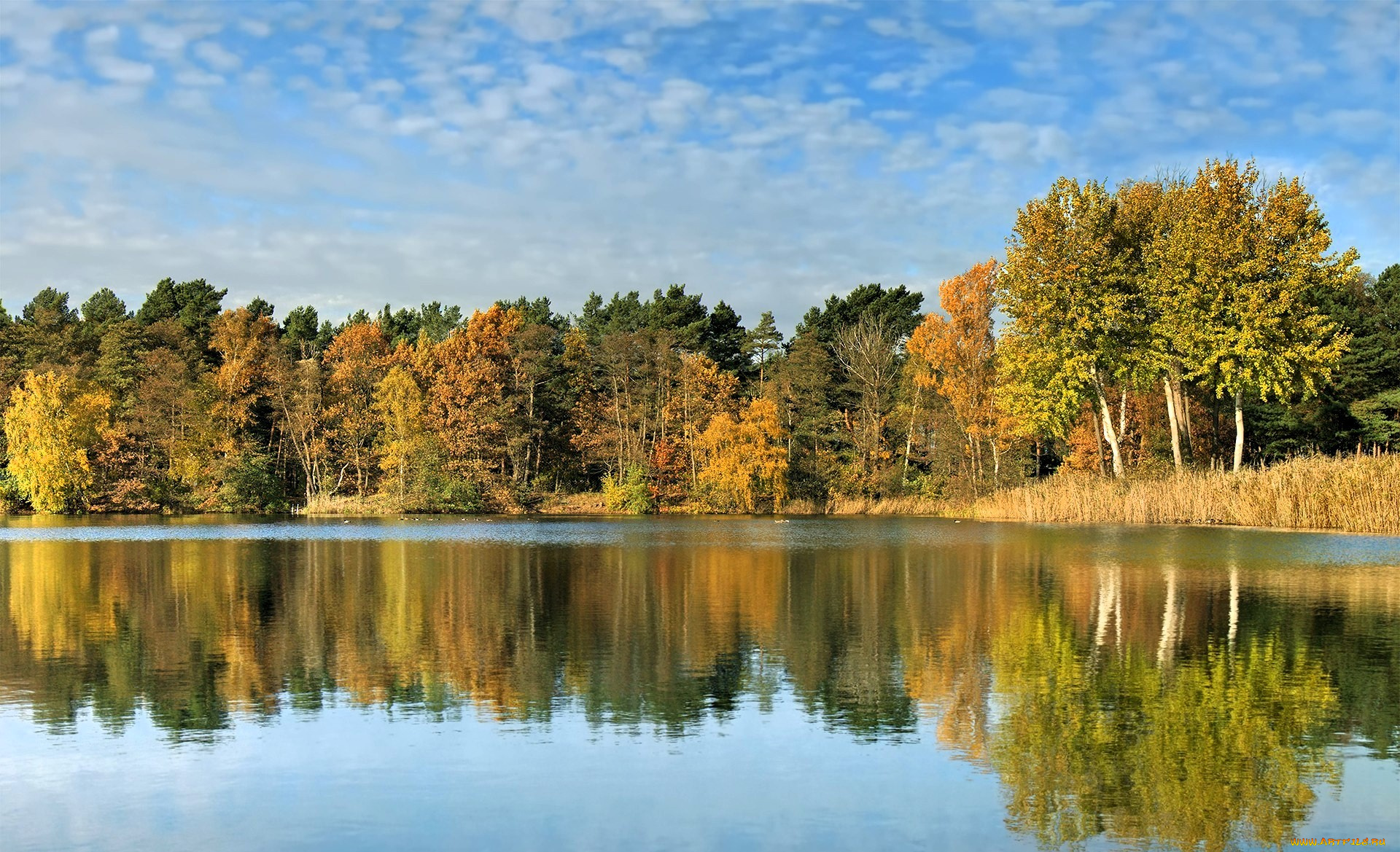 природа, реки, озера, небо, облака, лес, деревья, осень, озеро