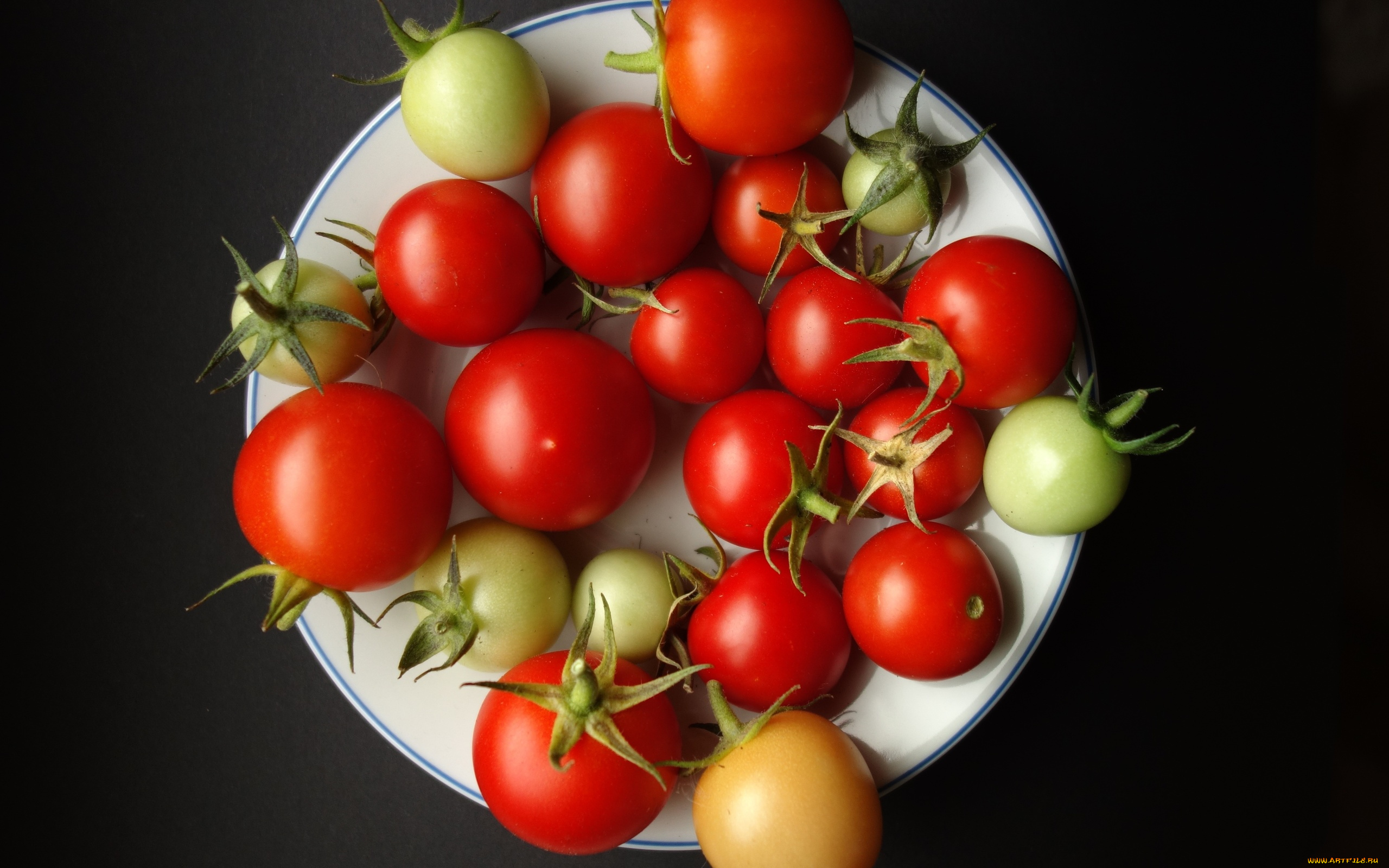 еда, помидоры, тарелка, томаты