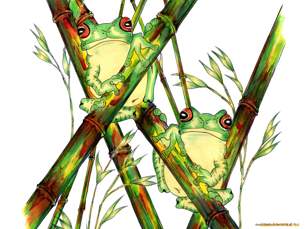 рисованные, животные, лягушки