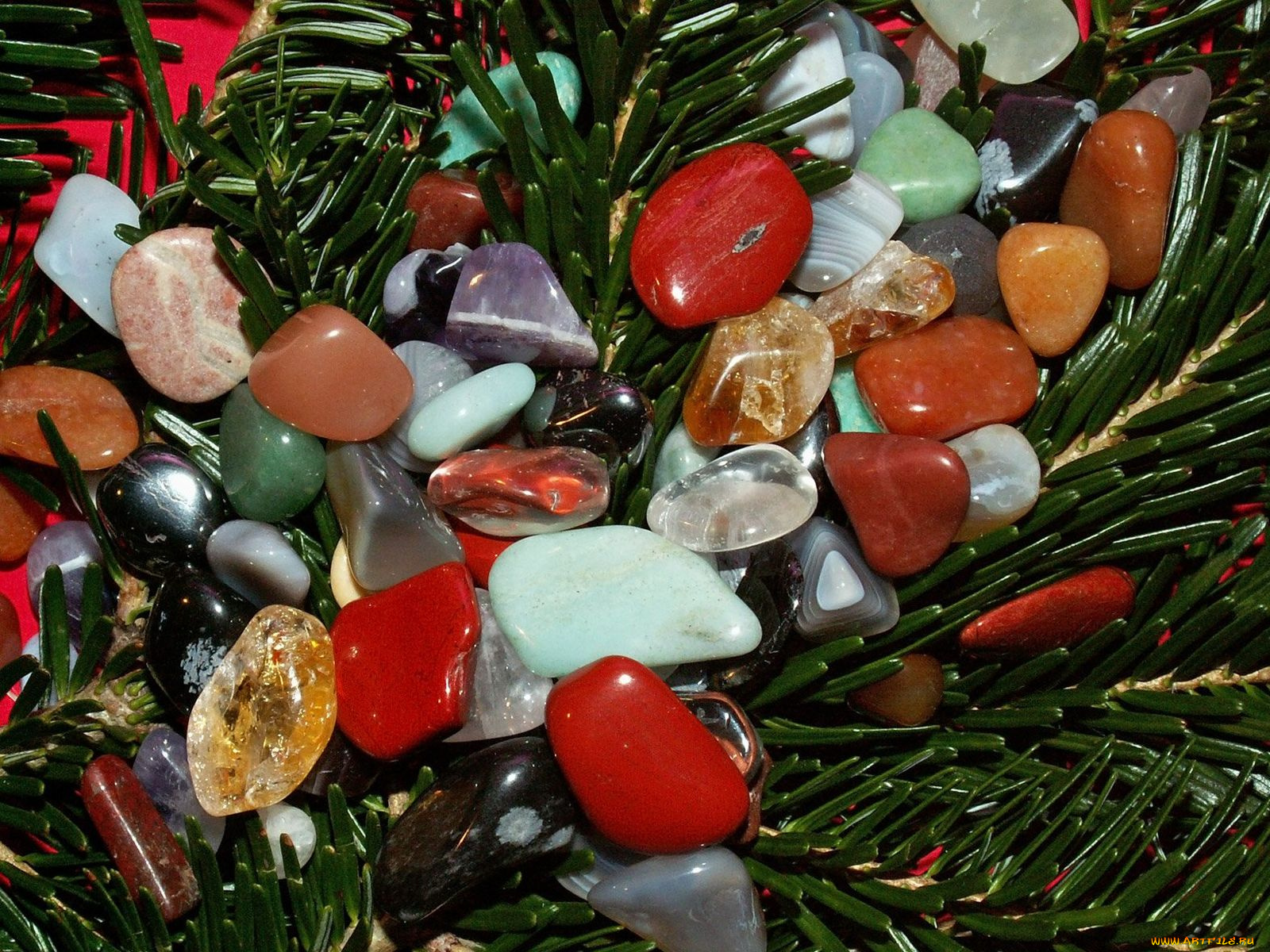 разное, ракушки, кораллы, декоративные, spa, камни