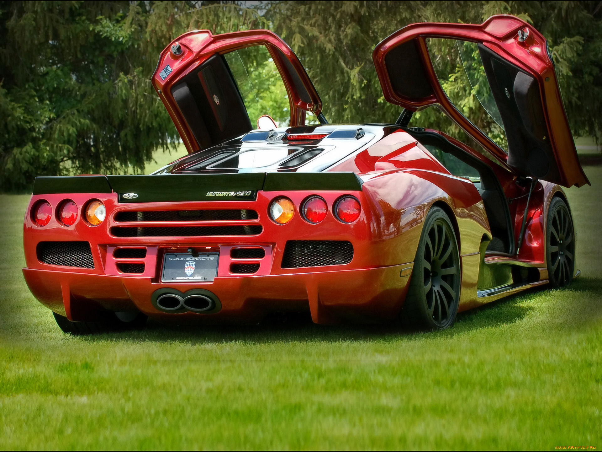 2009, ssc, ultimate, aero, red, автомобили, ac, cobra, shelby