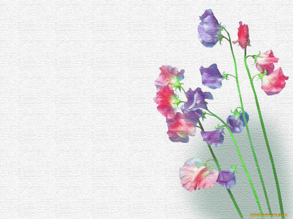 рисованные, цветы