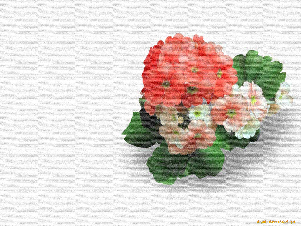 рисованные, цветы