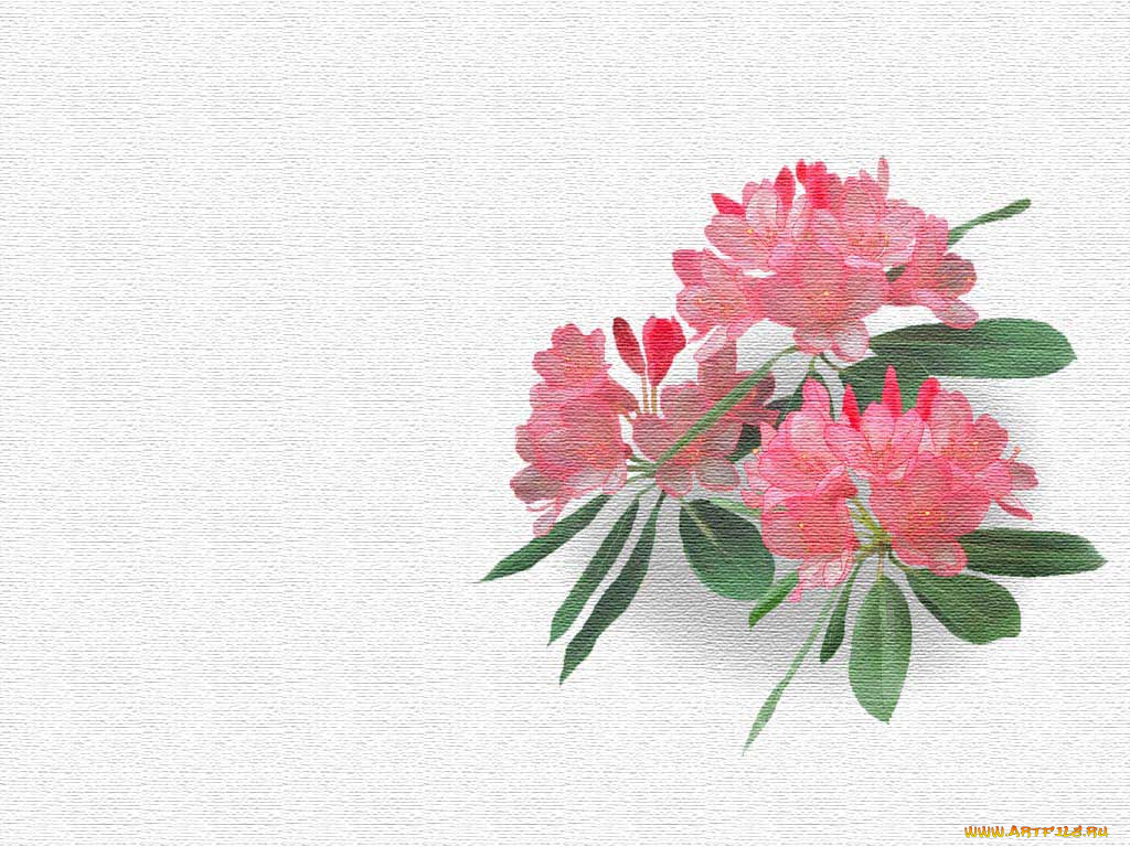 рисованные, цветы