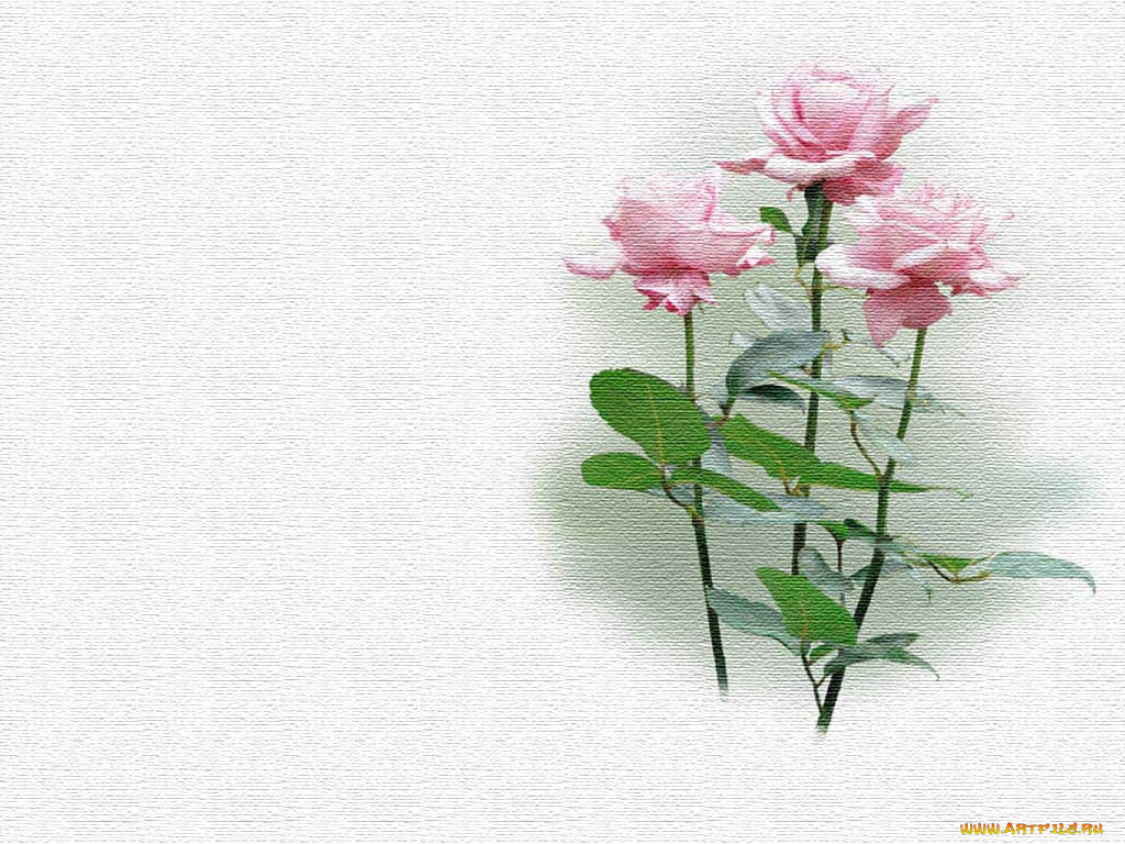 рисованные, цветы