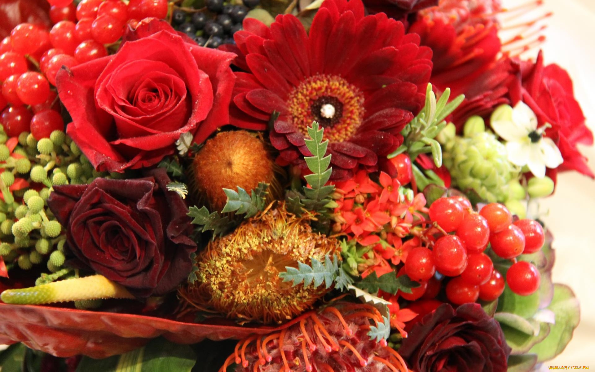 цветы, букеты, композиции, розы, герберы