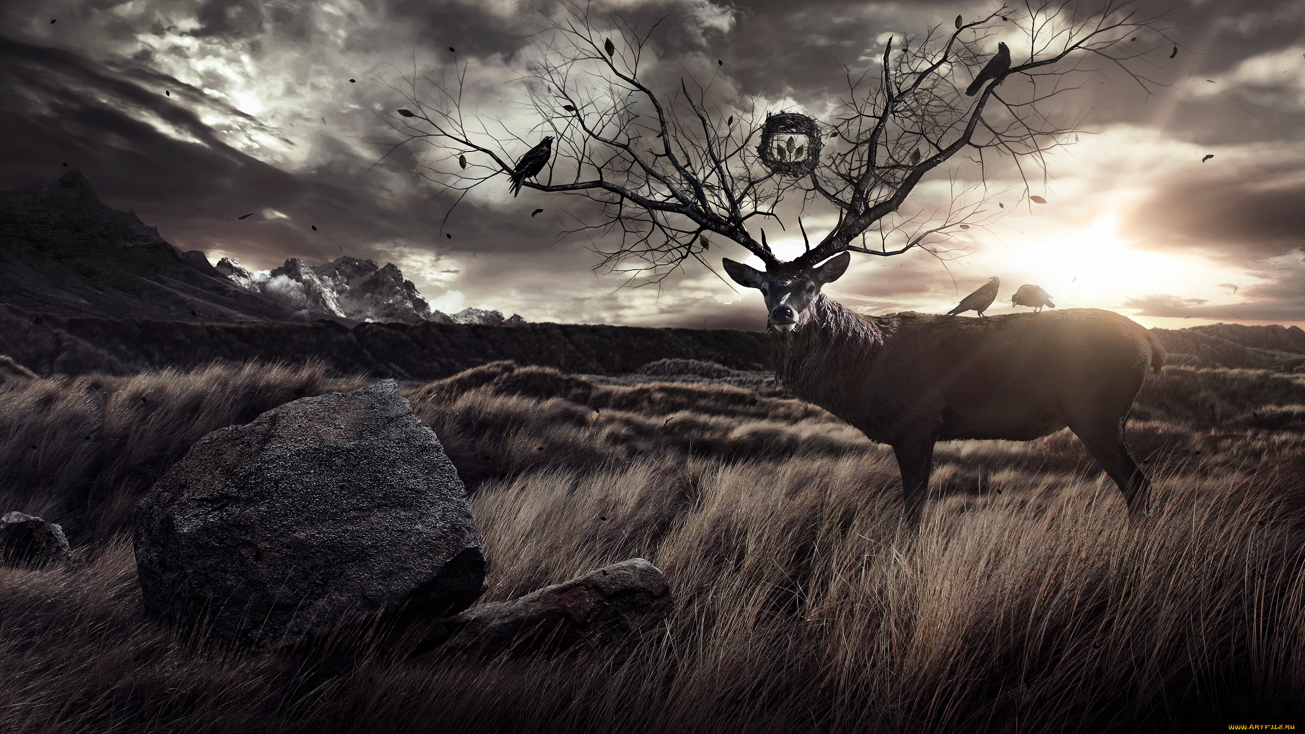 3д, графика, animals, животные, олень, рога, птицы, камень