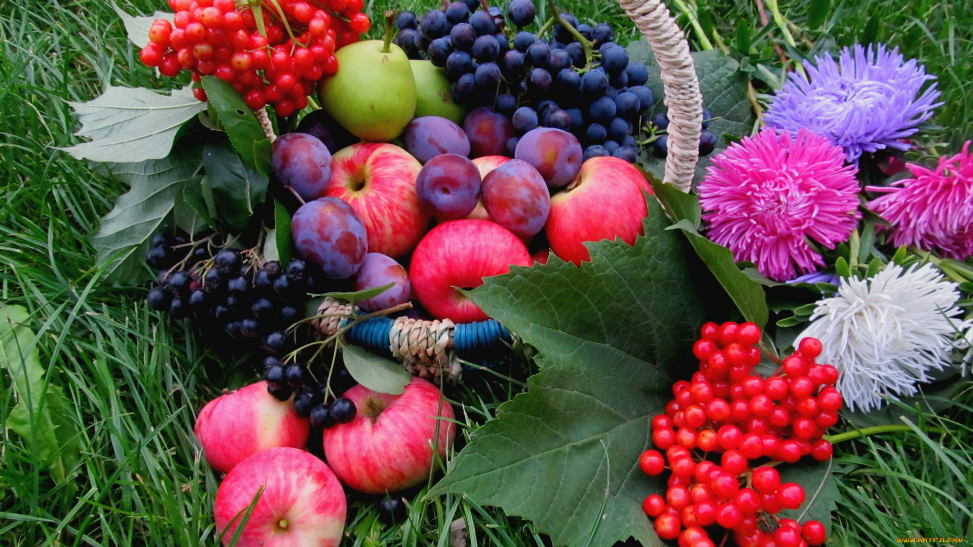 еда, фрукты, ягоды, астры, яблоки
