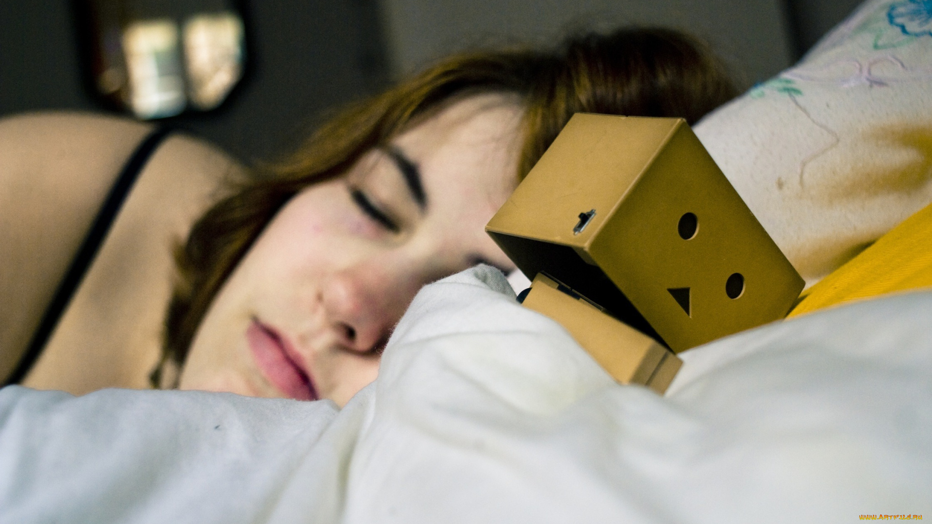 разное, данбо, danboard