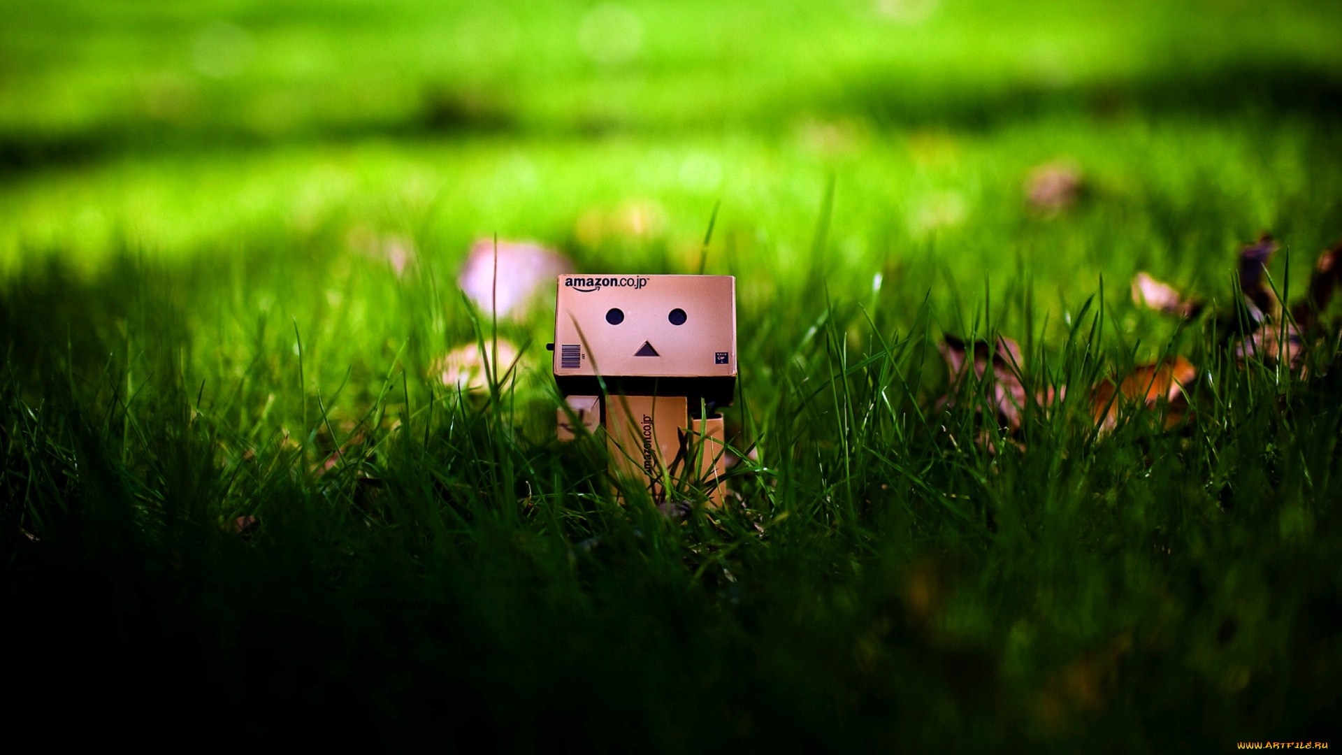 разное, данбо, danboard