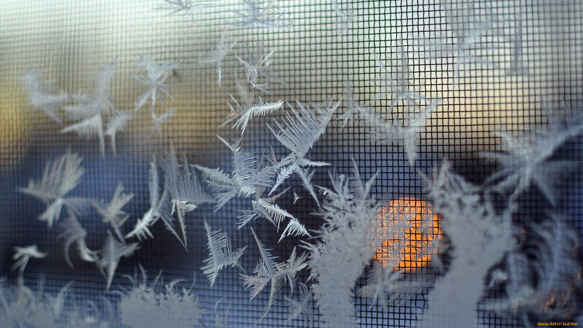 разное, текстуры, снежинки, фон, макро