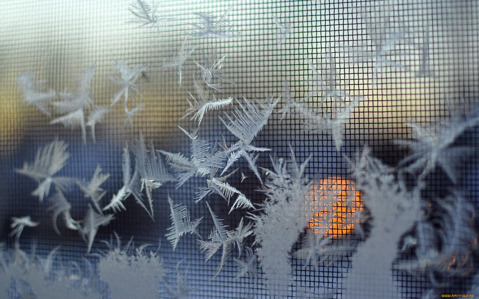 разное, текстуры, снежинки, фон, макро