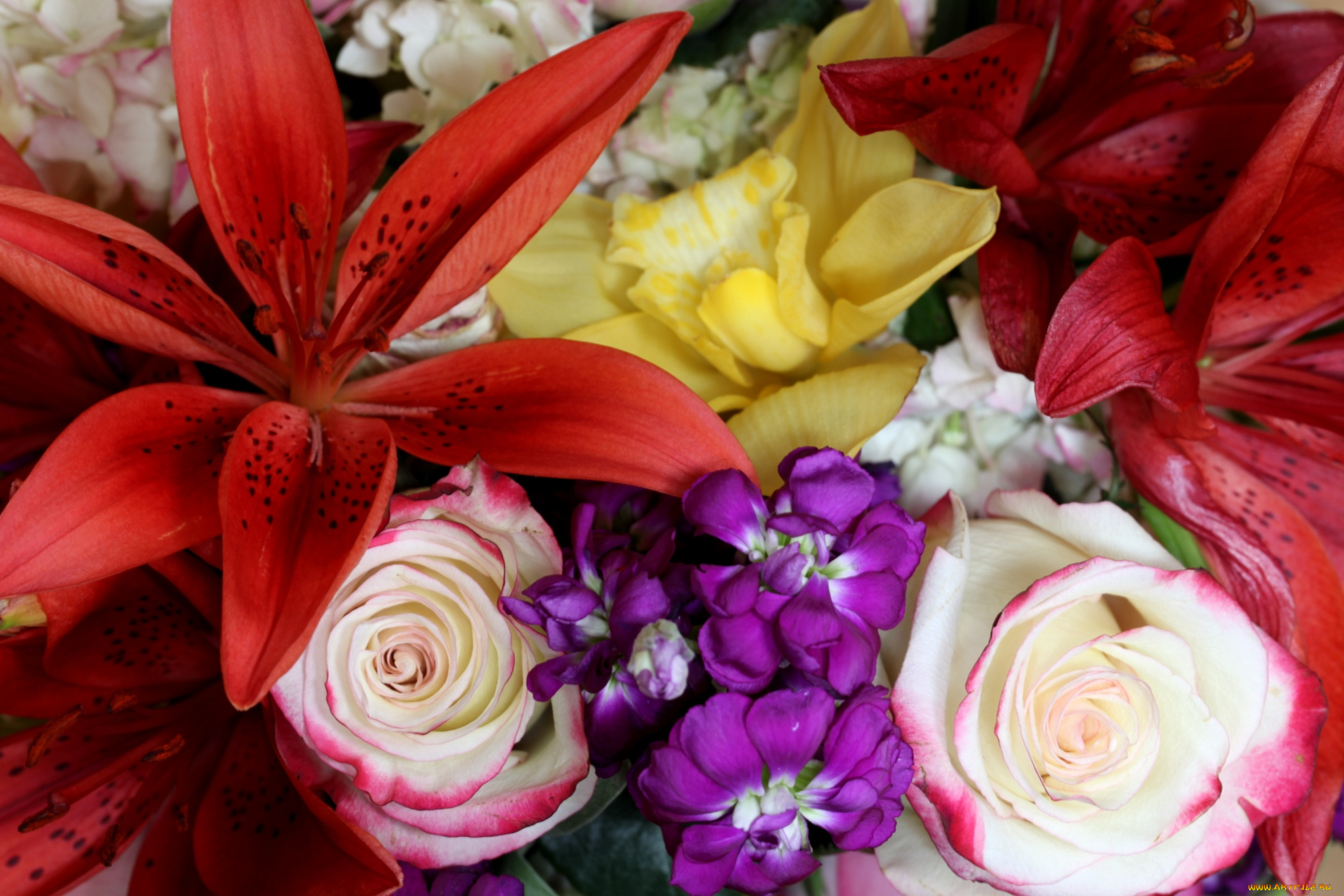 цветы, разные, вместе, лилии, розы, левкой