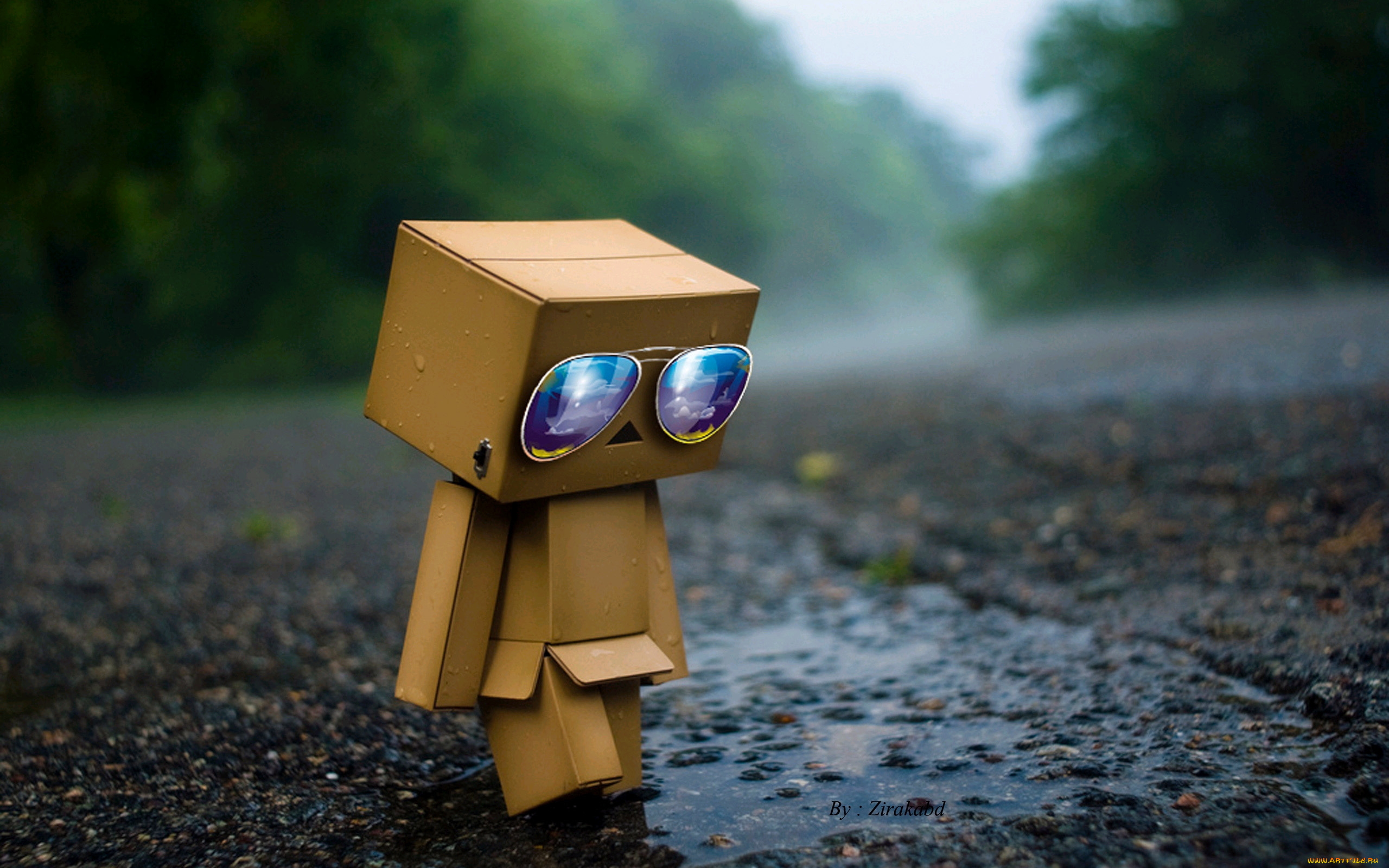 разное, данбо, danboard