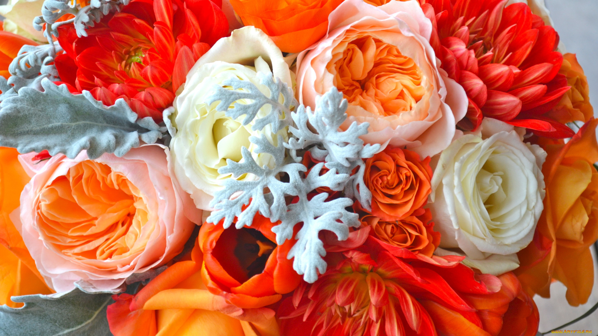 цветы, букеты, , композиции, эустома, розы, георгины, букет