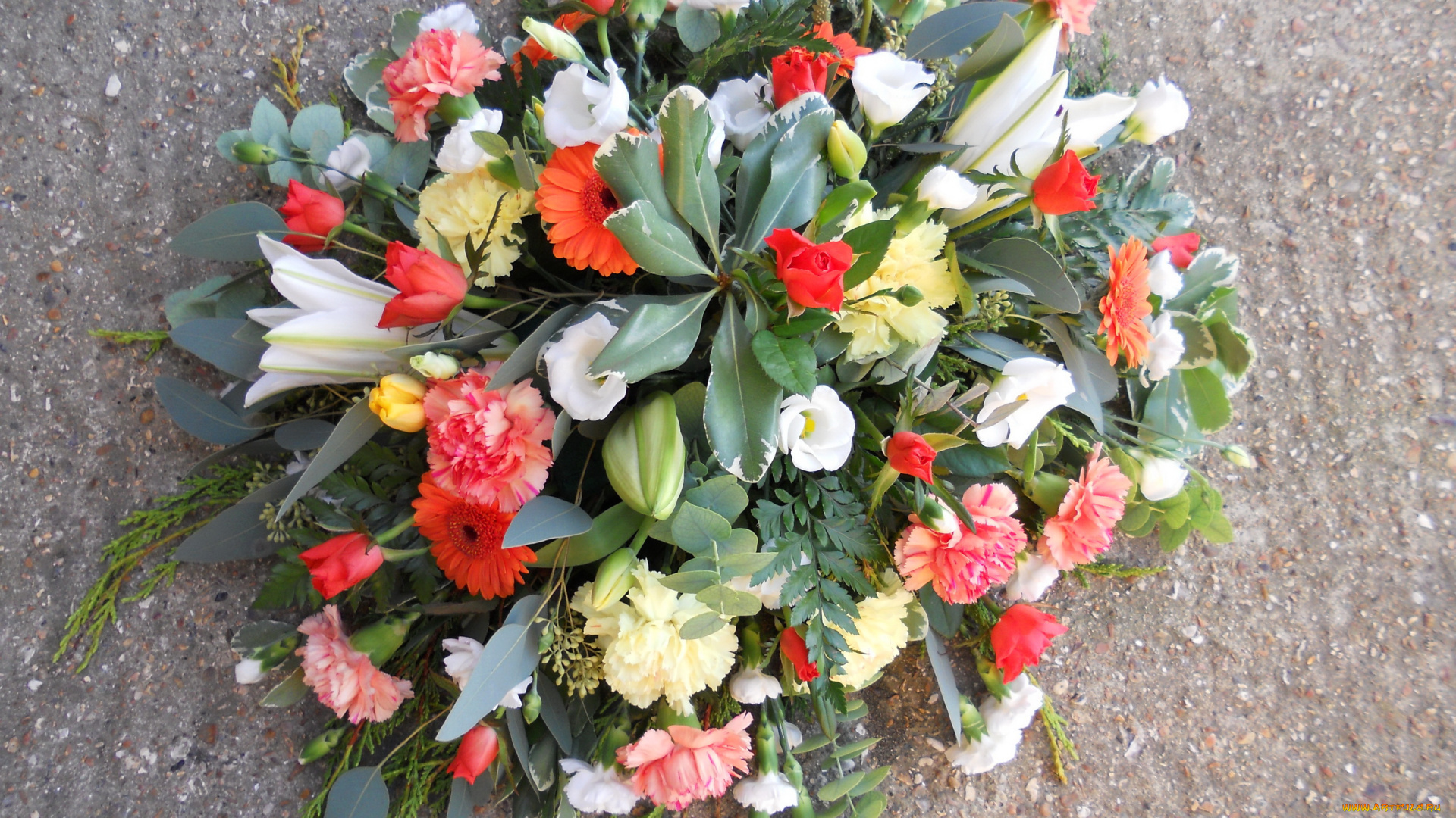 цветы, букеты, , композиции, эустома, розы, тюльпаны, герберы, гвоздики