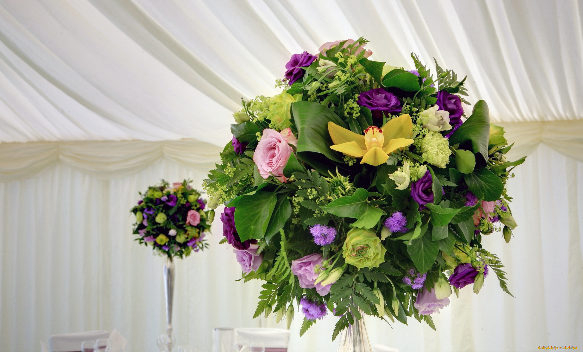 цветы, букеты, , композиции, орхидея, агератум, эустома, розы