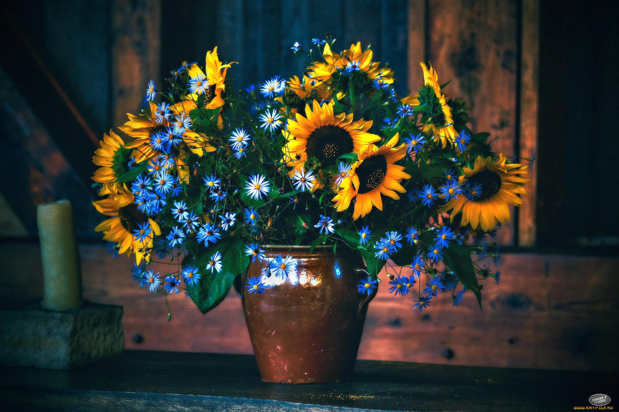 цветы, букеты, , композиции, подсолнухи, татарская, астра