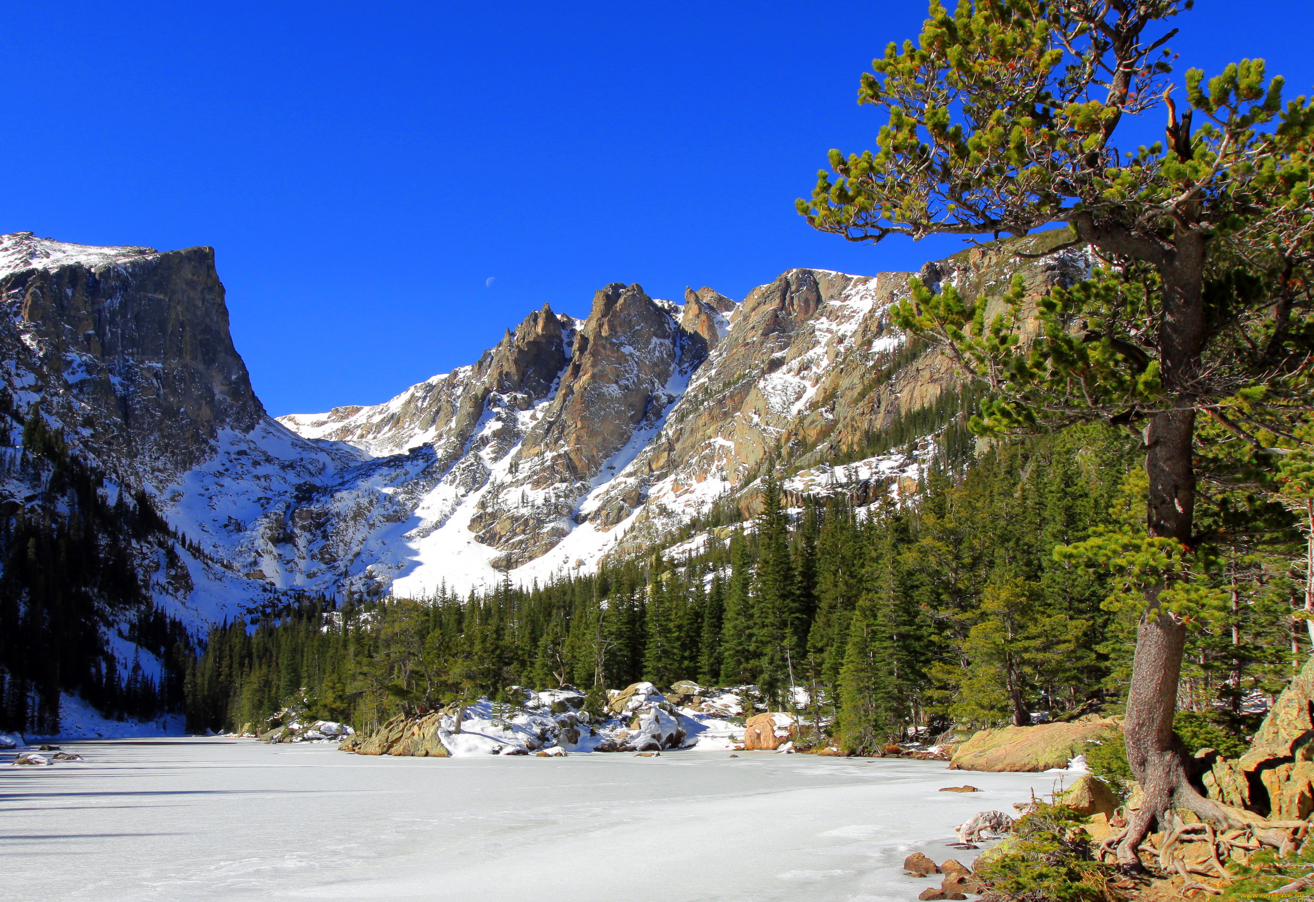 rocky, mountain, national, park, , colorado, природа, горы, парк, снег, ели, дерево