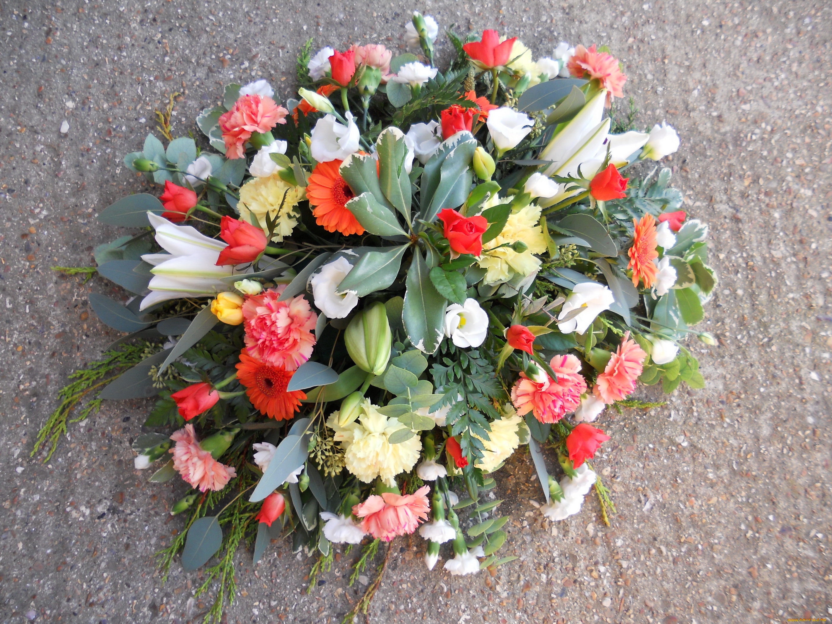 цветы, букеты, , композиции, эустома, розы, тюльпаны, герберы, гвоздики