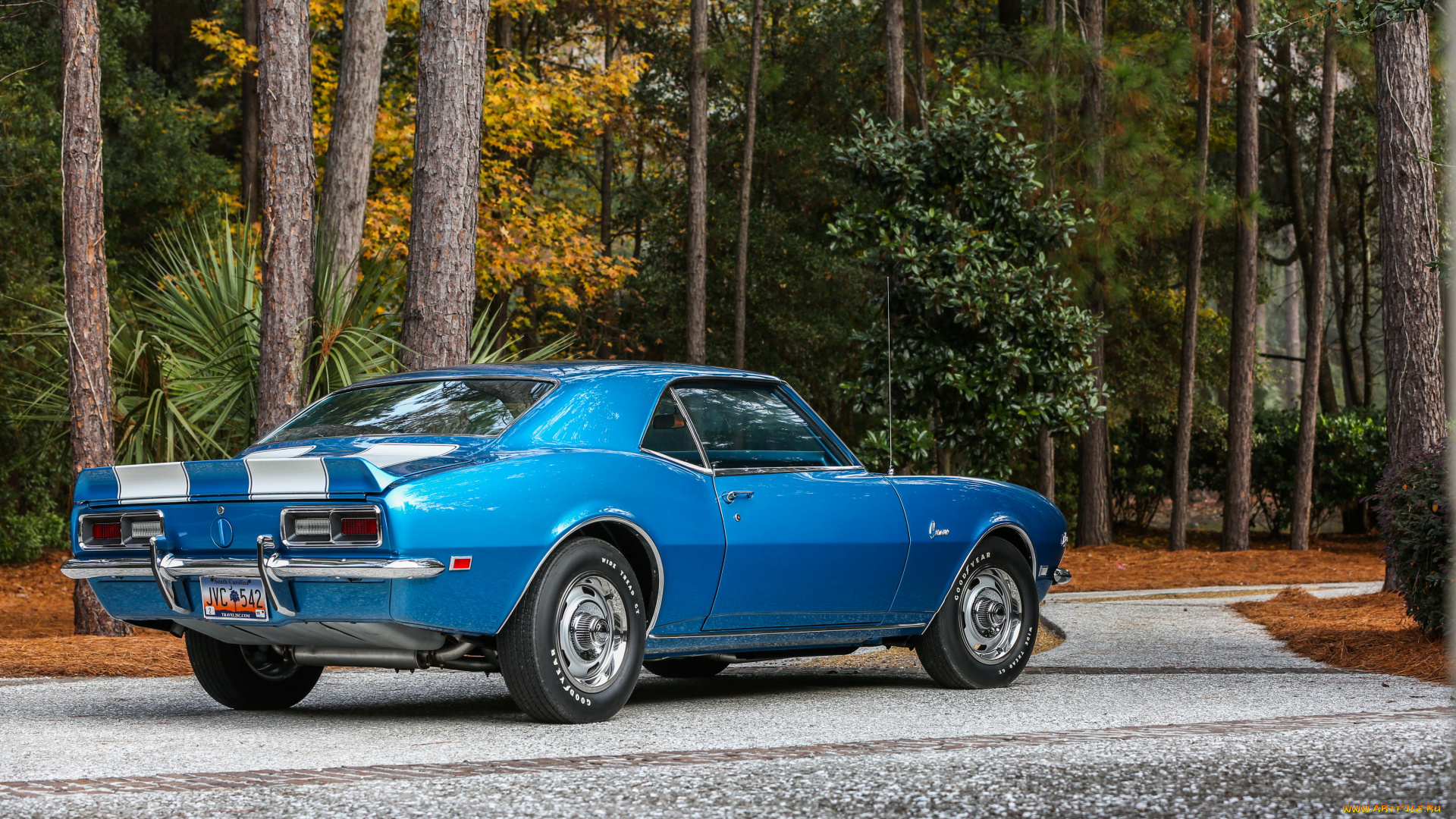 автомобили, camaro