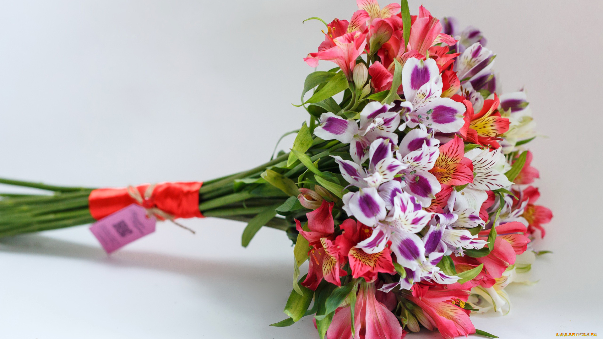 цветы, альстромерия, альстромерии, букет