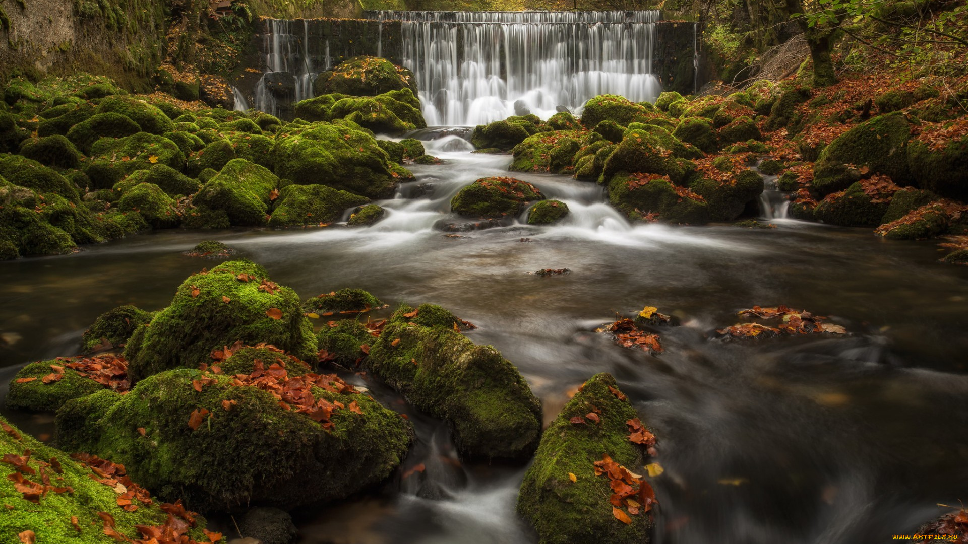 природа, водопады, осень, камни, река, каскад, листья, мох, швейцария, водопад