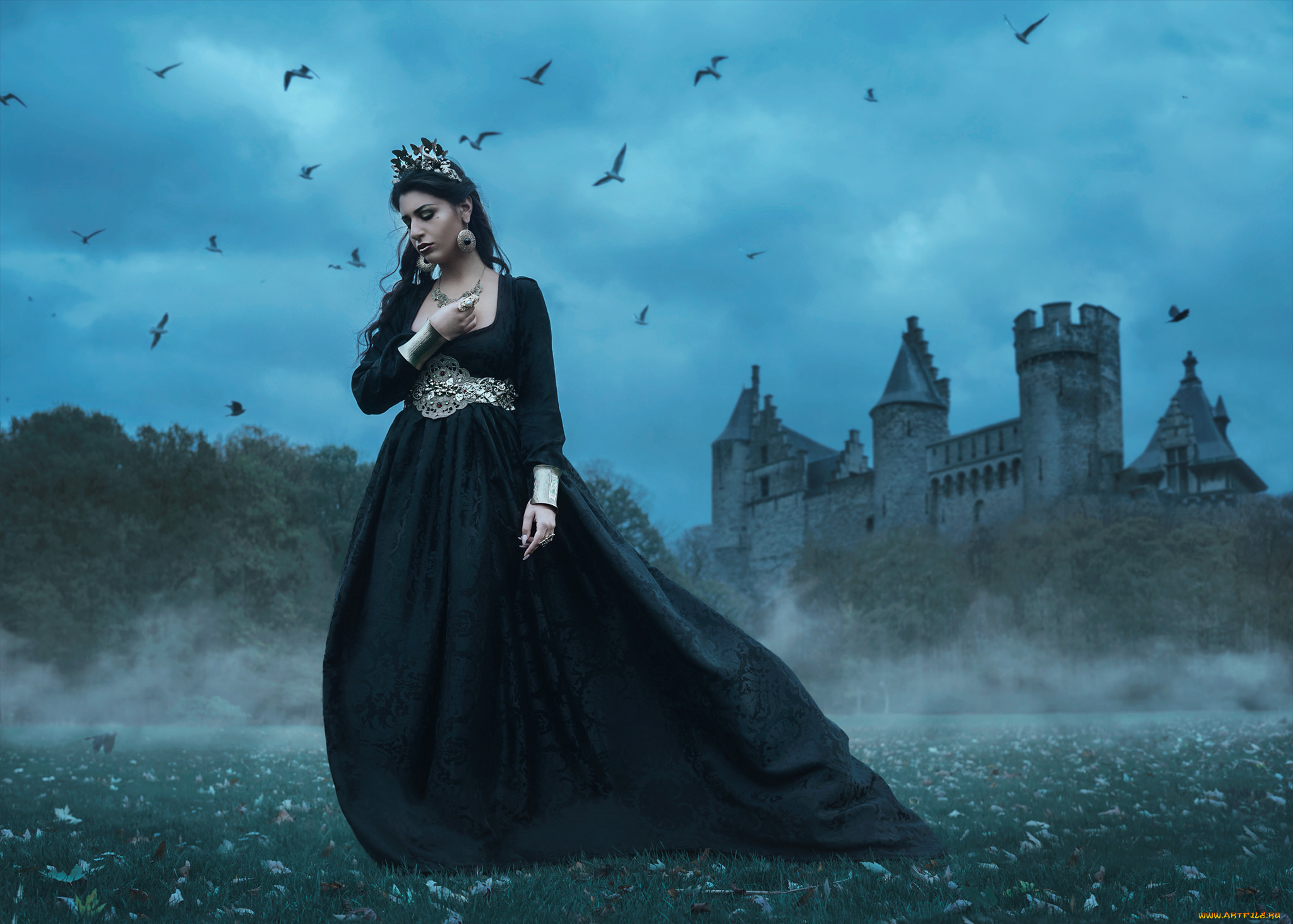 девушки, -unsort, , креатив, птицы, tara, valentine, замок, платье, королева
