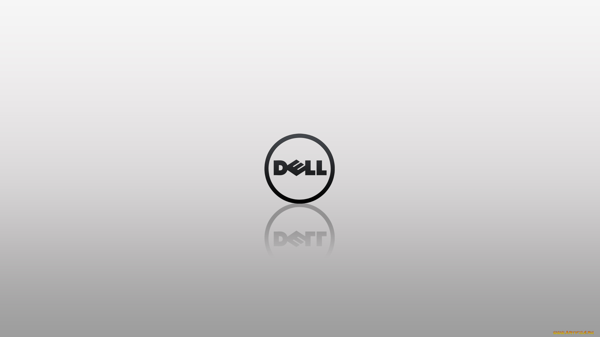 компьютеры, dell, логотип, фон