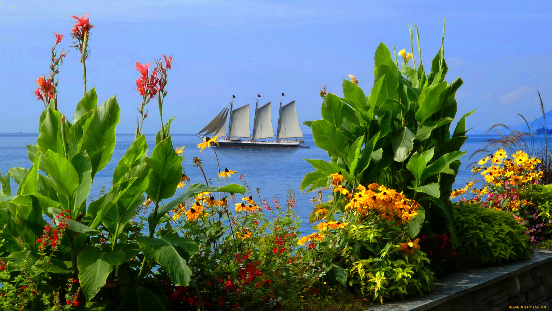 корабли, парусники, мачты, паруса