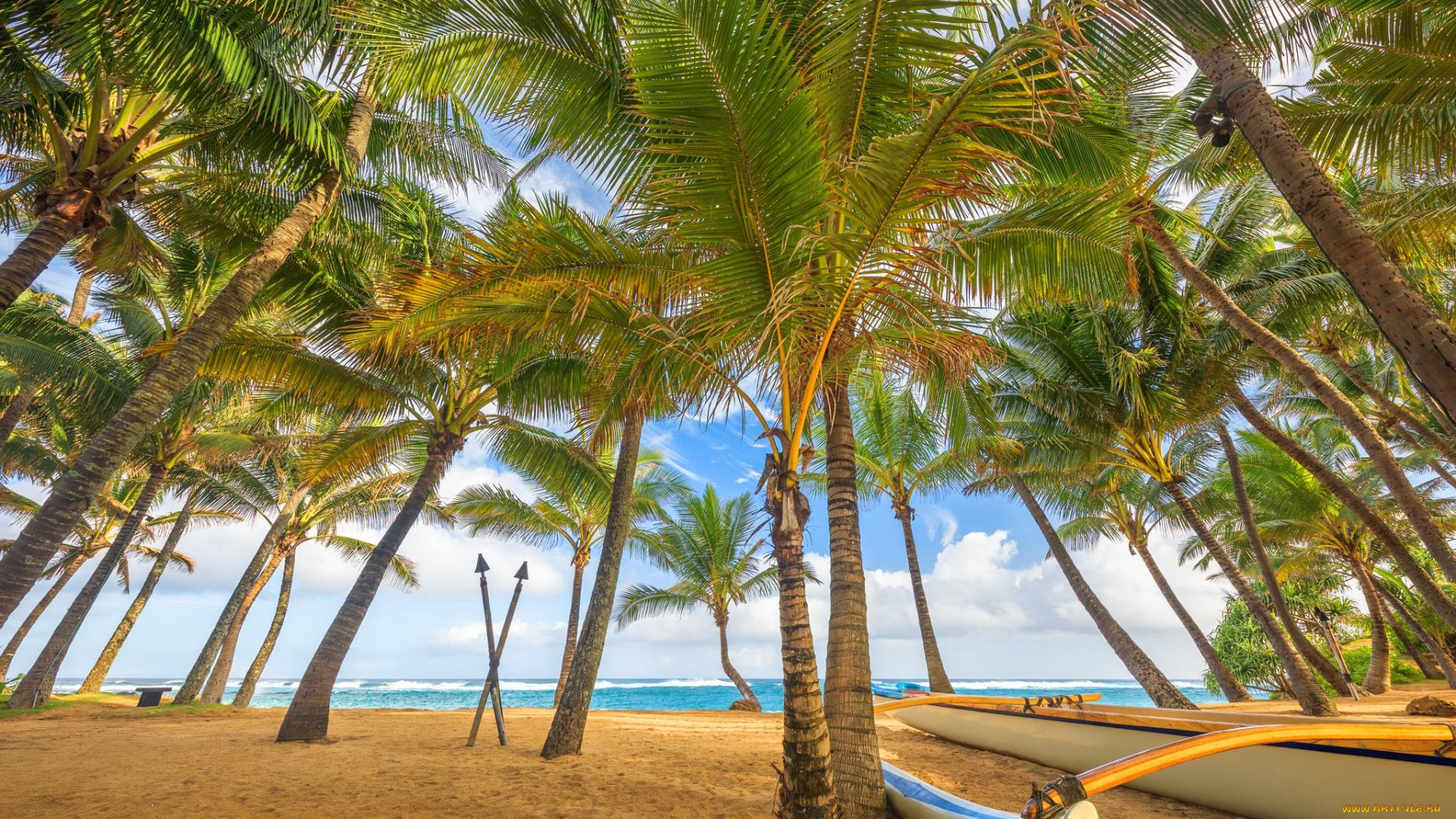 природа, тропики, песок, пляж, море, пальмы