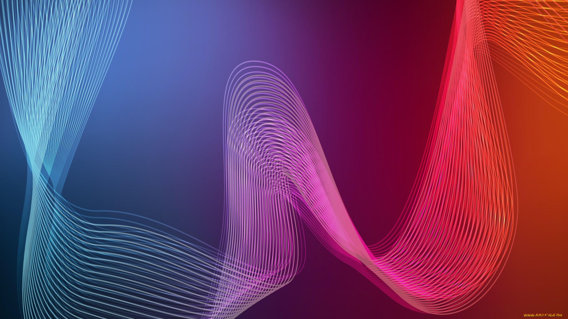 векторная, графика, графика, , graphics, фон, цвета, узор