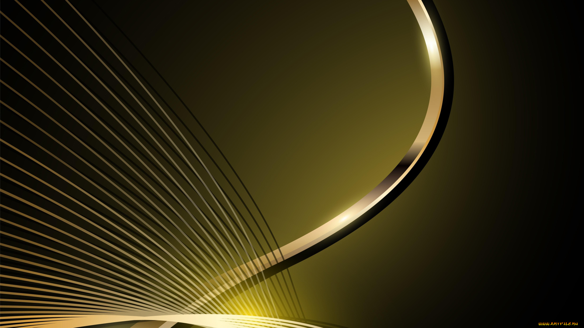 векторная, графика, графика, , graphics, узор, цвета, фон