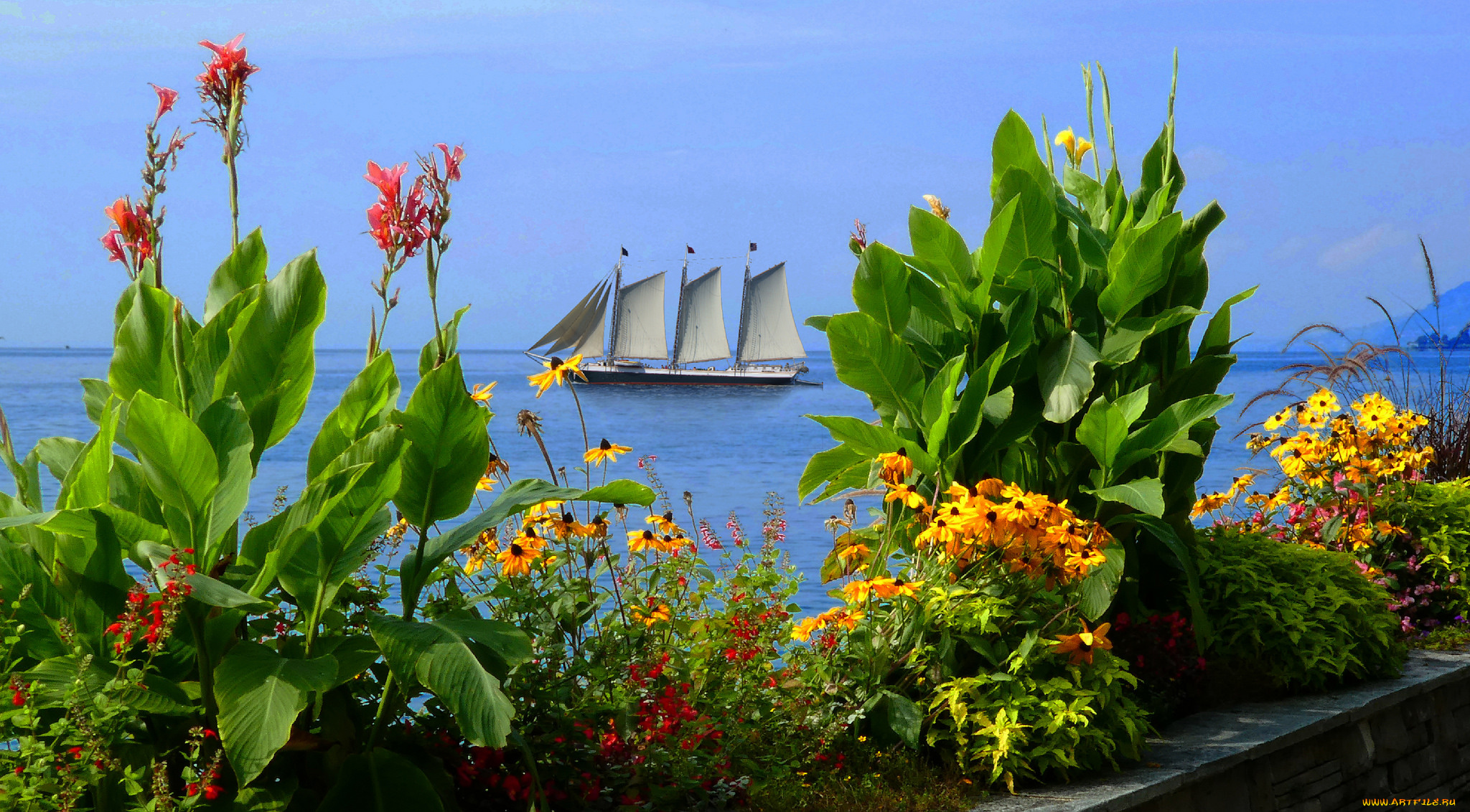 корабли, парусники, мачты, паруса
