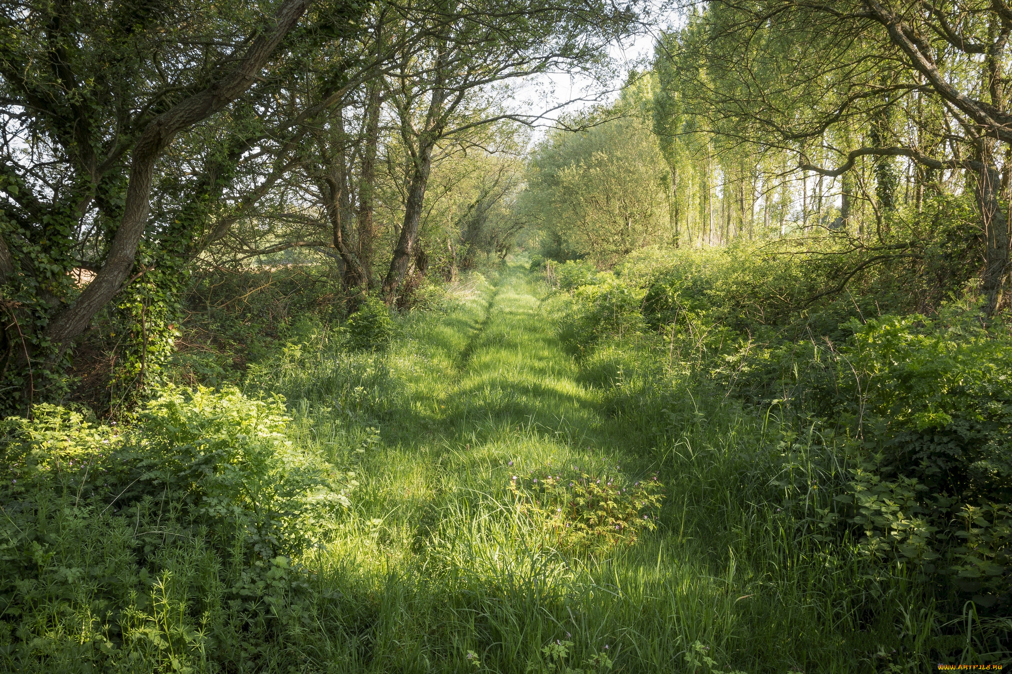 природа, дороги, тракт