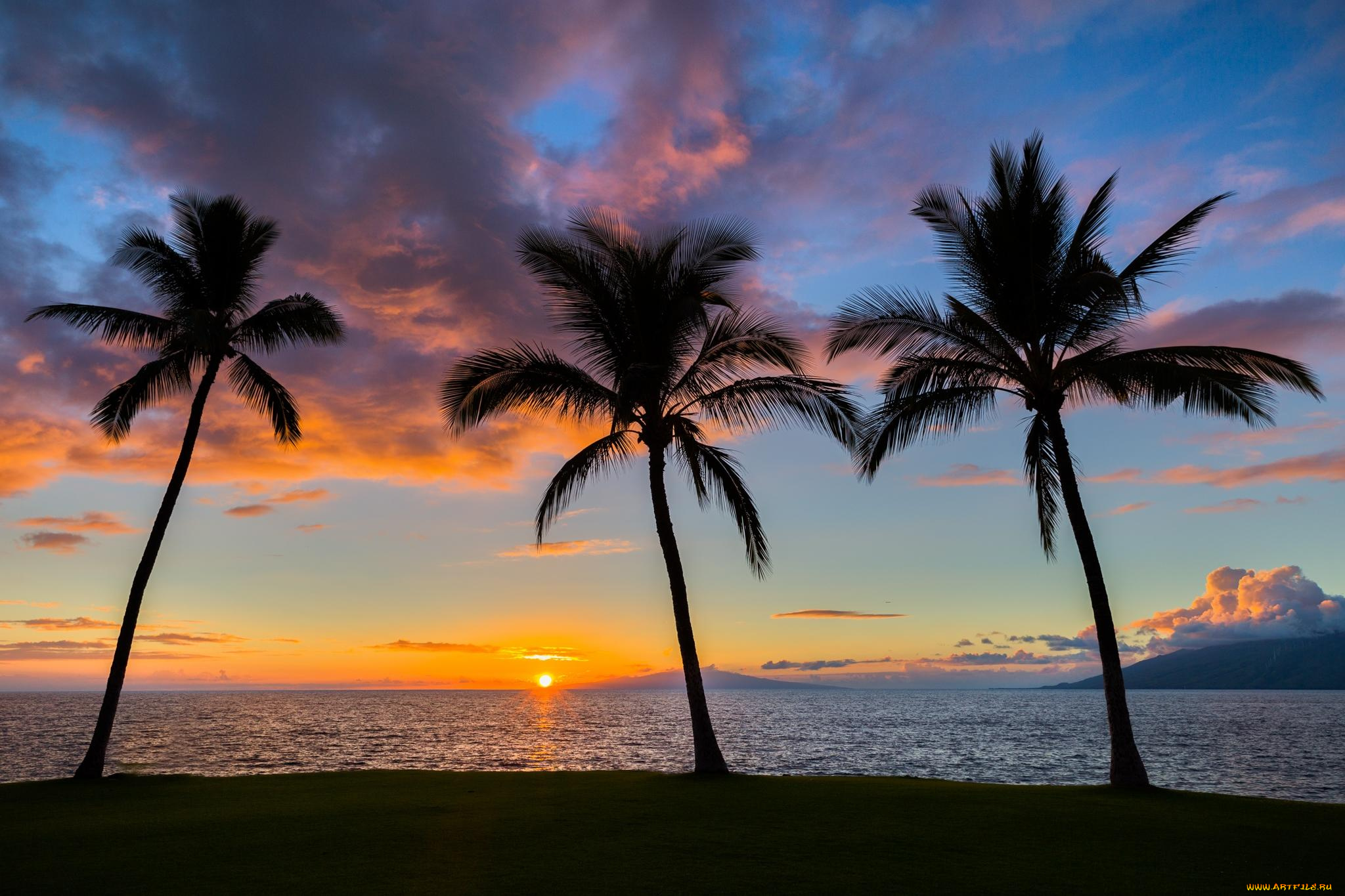 природа, тропики, море, пальмы, пляж, песок