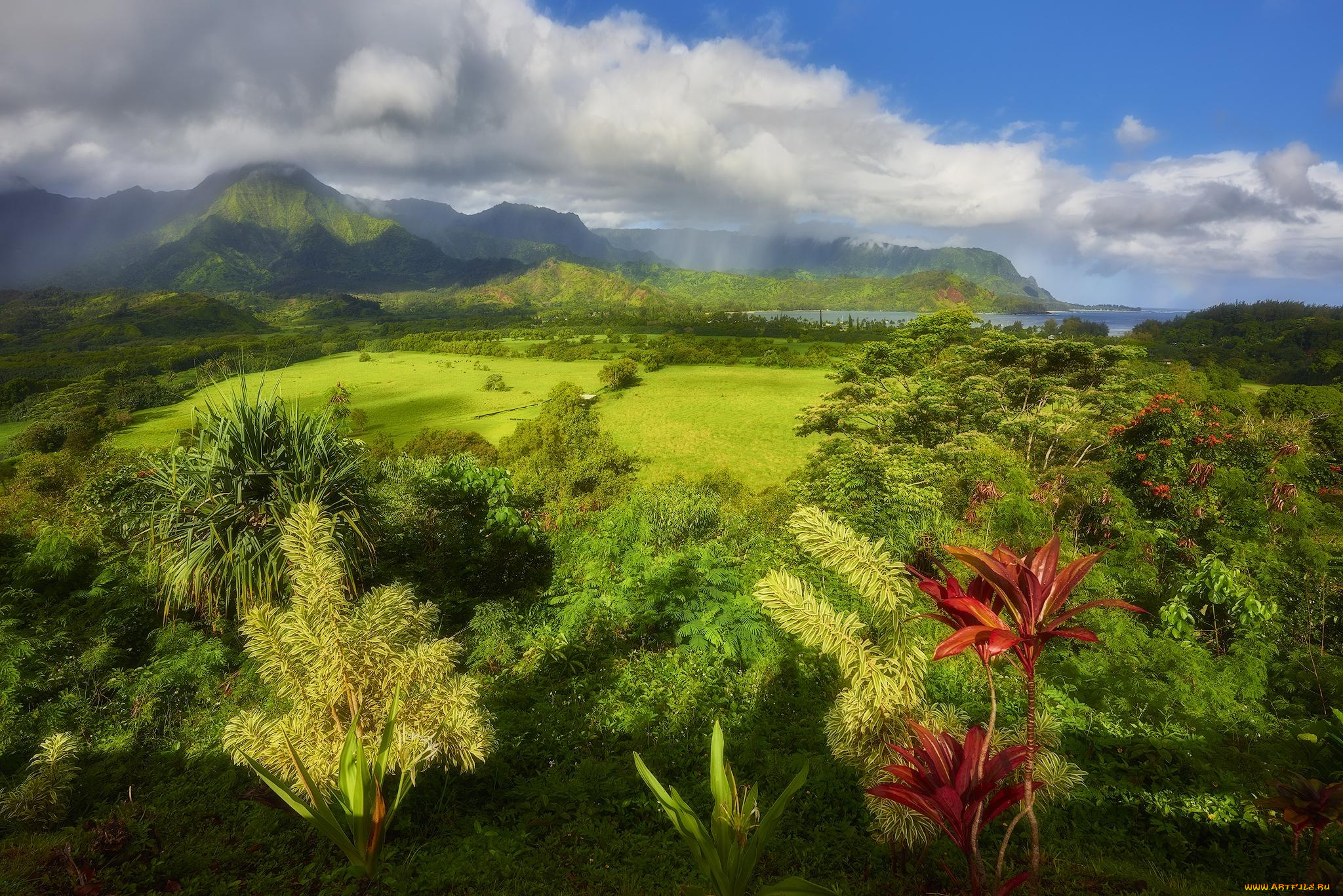 природа, горы, лес