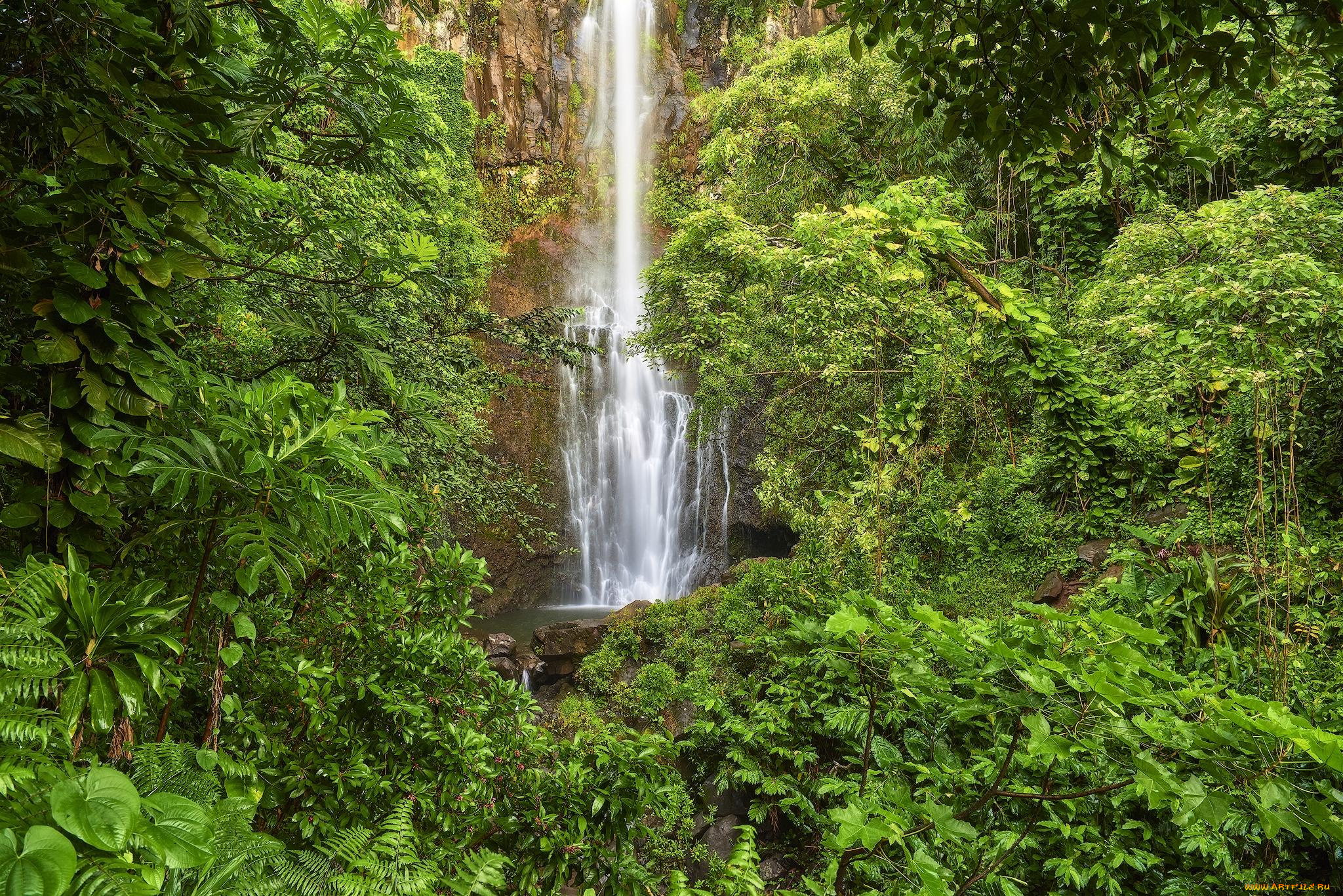 природа, водопады, поток, лес