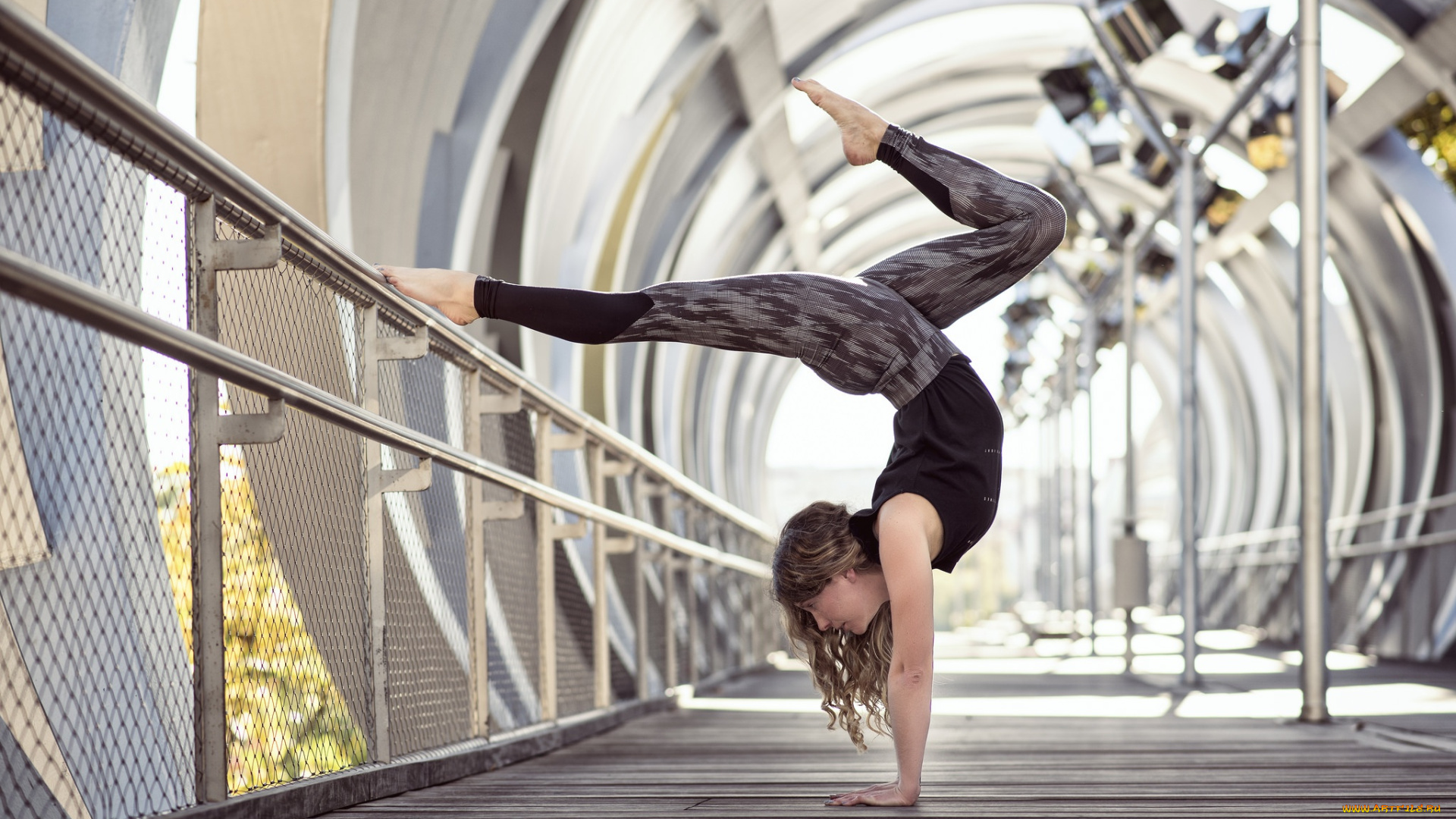 спорт, фитнес, стойка, боке, daisy, tonge