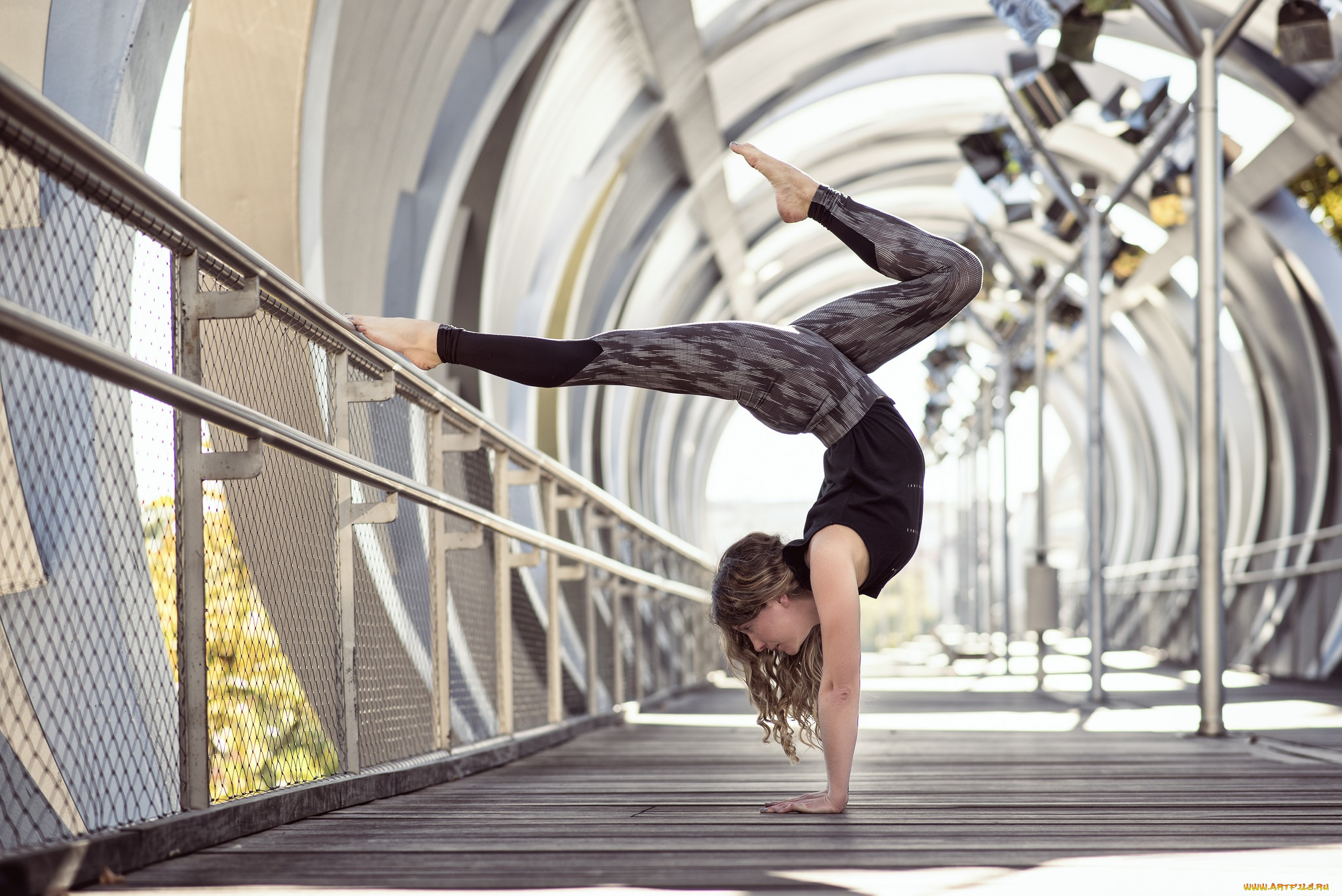 спорт, фитнес, стойка, боке, daisy, tonge