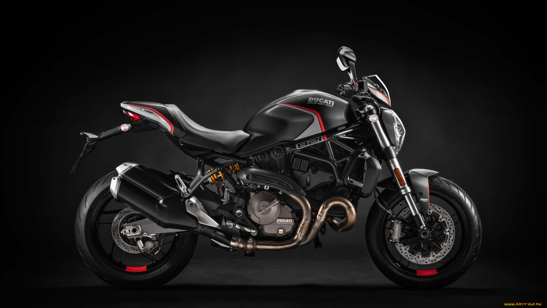 2019, ducati, monster, 821, stealth, мотоциклы, ducati, 2019, дукати, мотоцикл, stealth, monster, 821