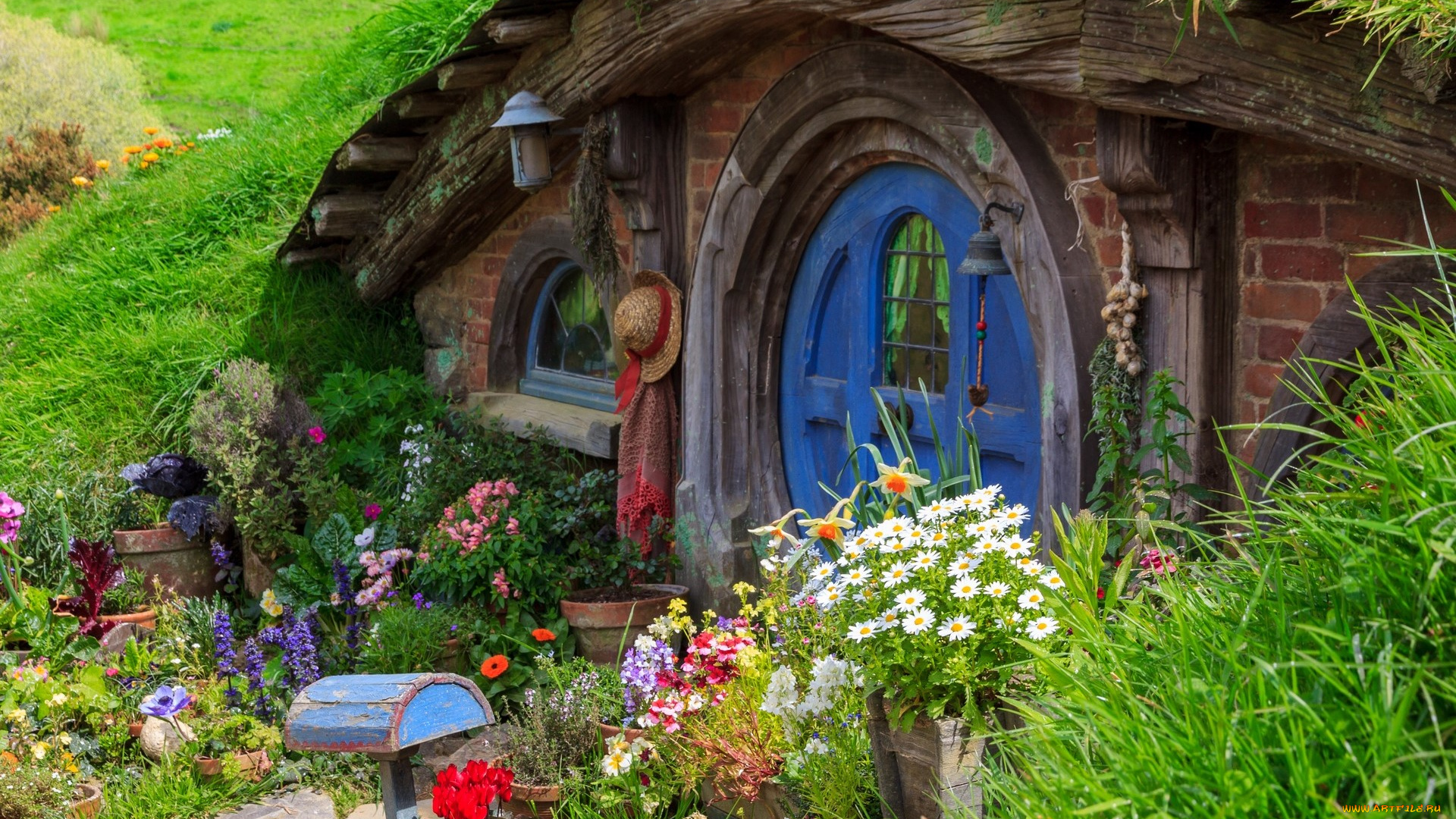 города, -, здания, , дома, цветы, дом, хоббитон, новая, зеландия